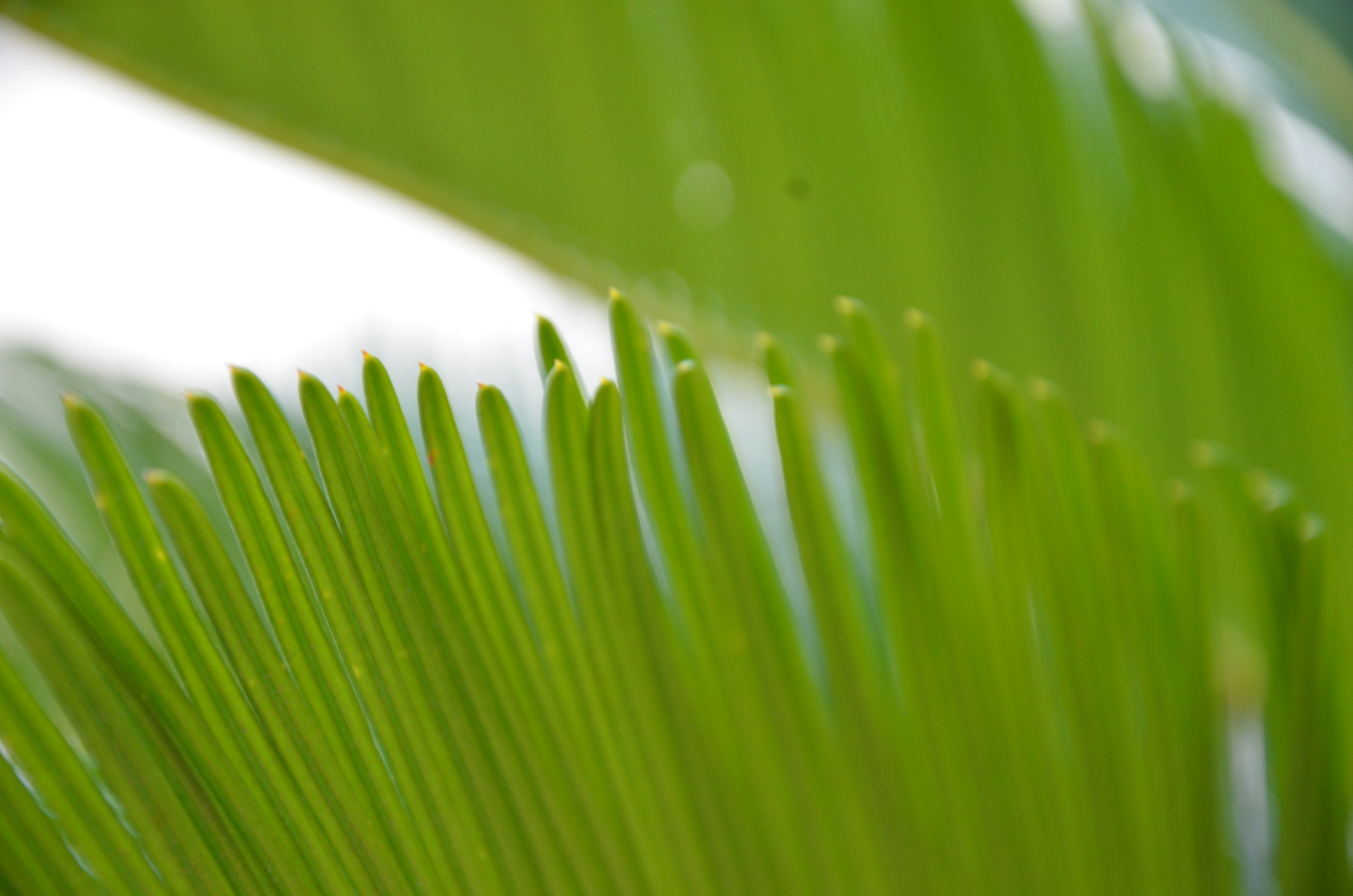 Photo by jaspercampbell