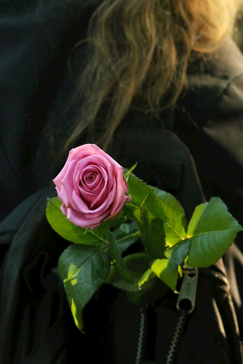 a close up of a person holding a pink rose