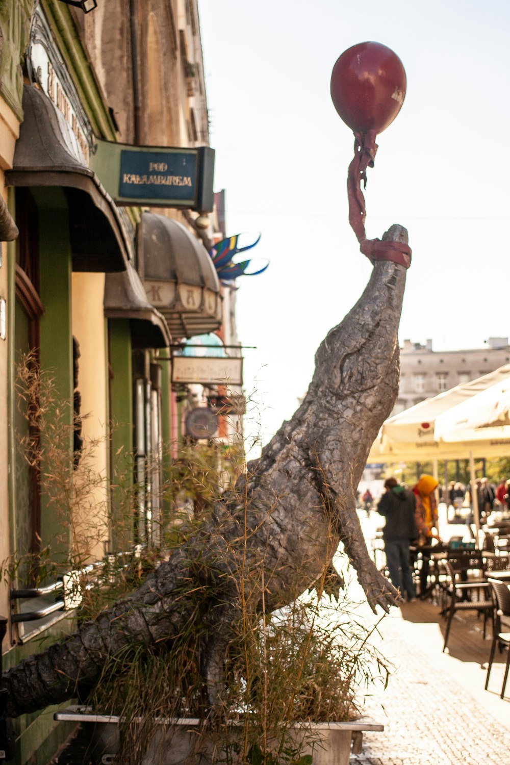 a tree that has fallen down and has a red balloon on it