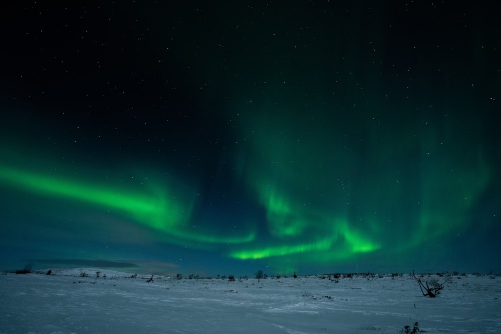 a green and blue aurora bore in the sky