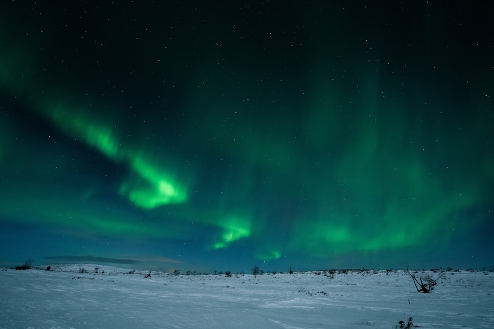 a green and blue aurora bore in the sky