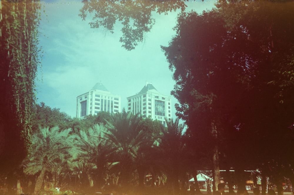 a view of a hotel from a park