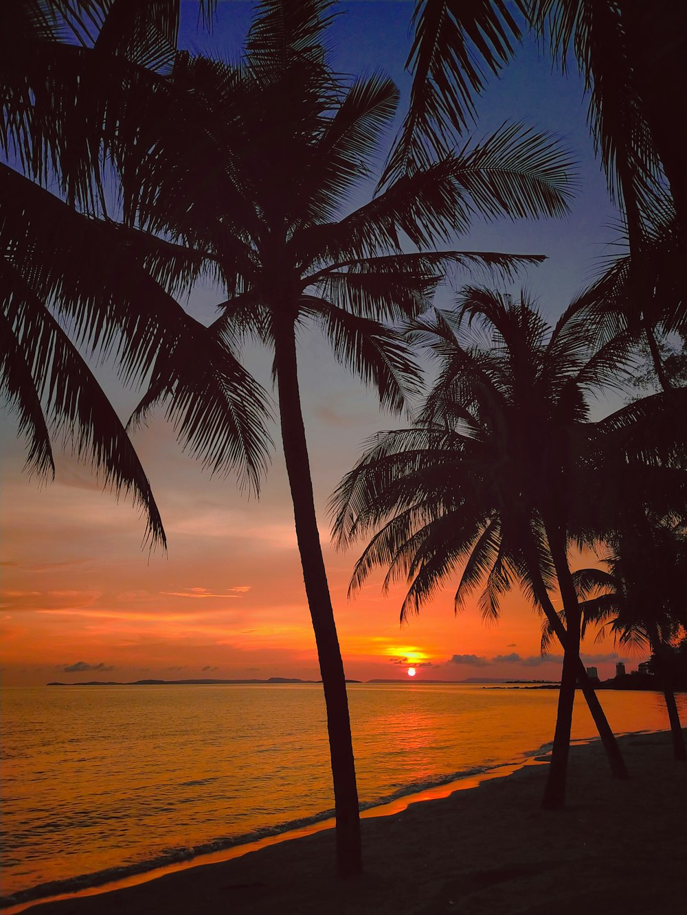 a sunset with palm trees on the beach