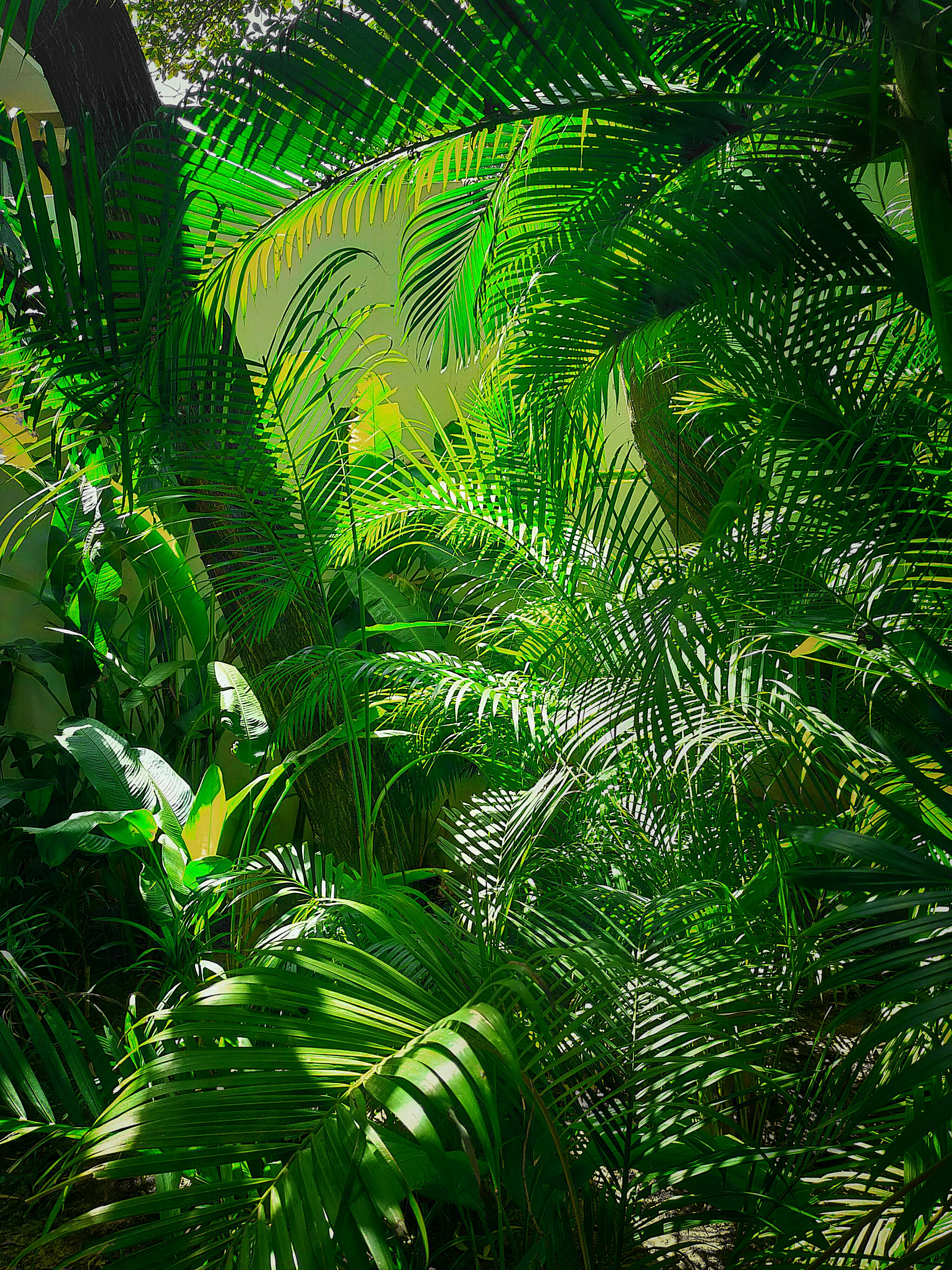 Photo by allphotobangkok