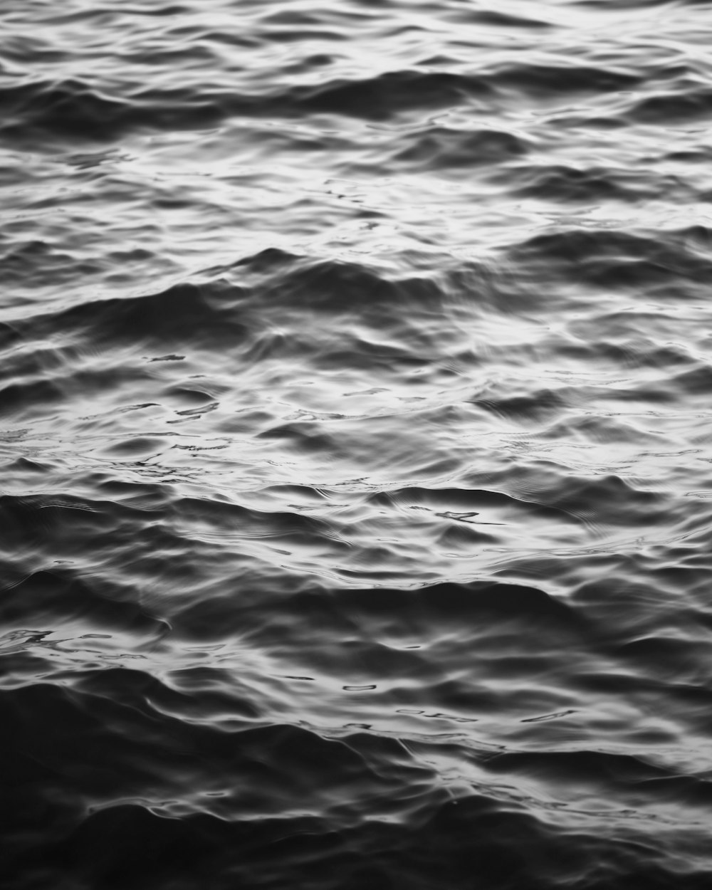 a black and white photo of a body of water