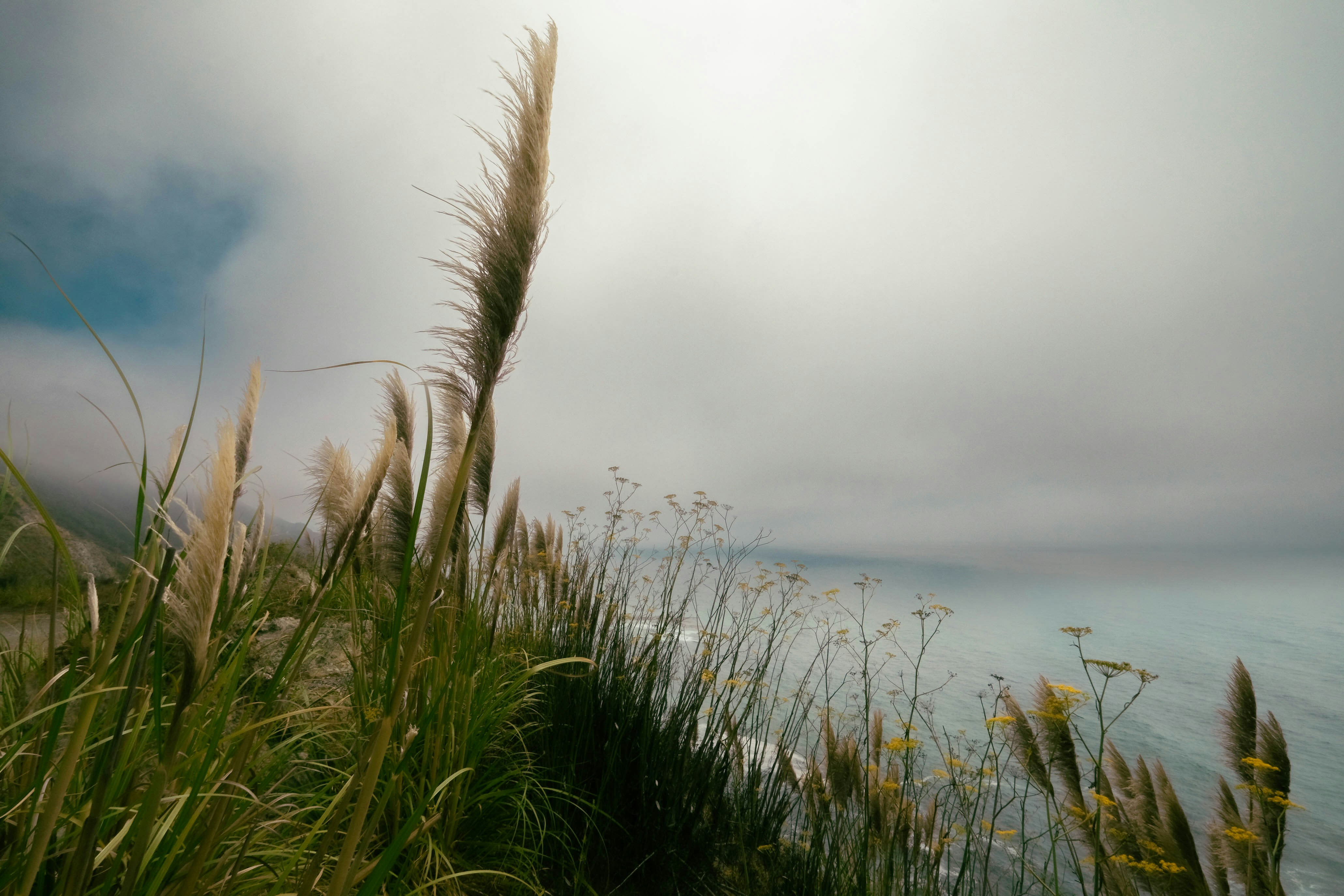 Photo by juniperowinds