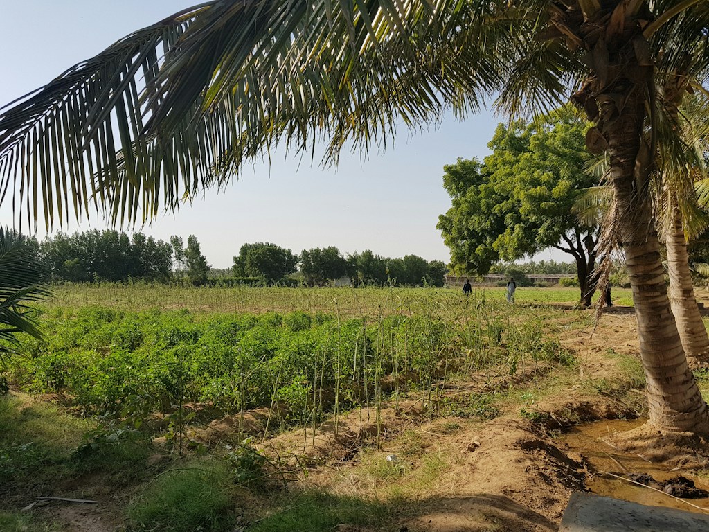 Cuddalore Farm Land