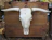 A rustic cow skull customized with floral patterns, displayed on a wooden wall.