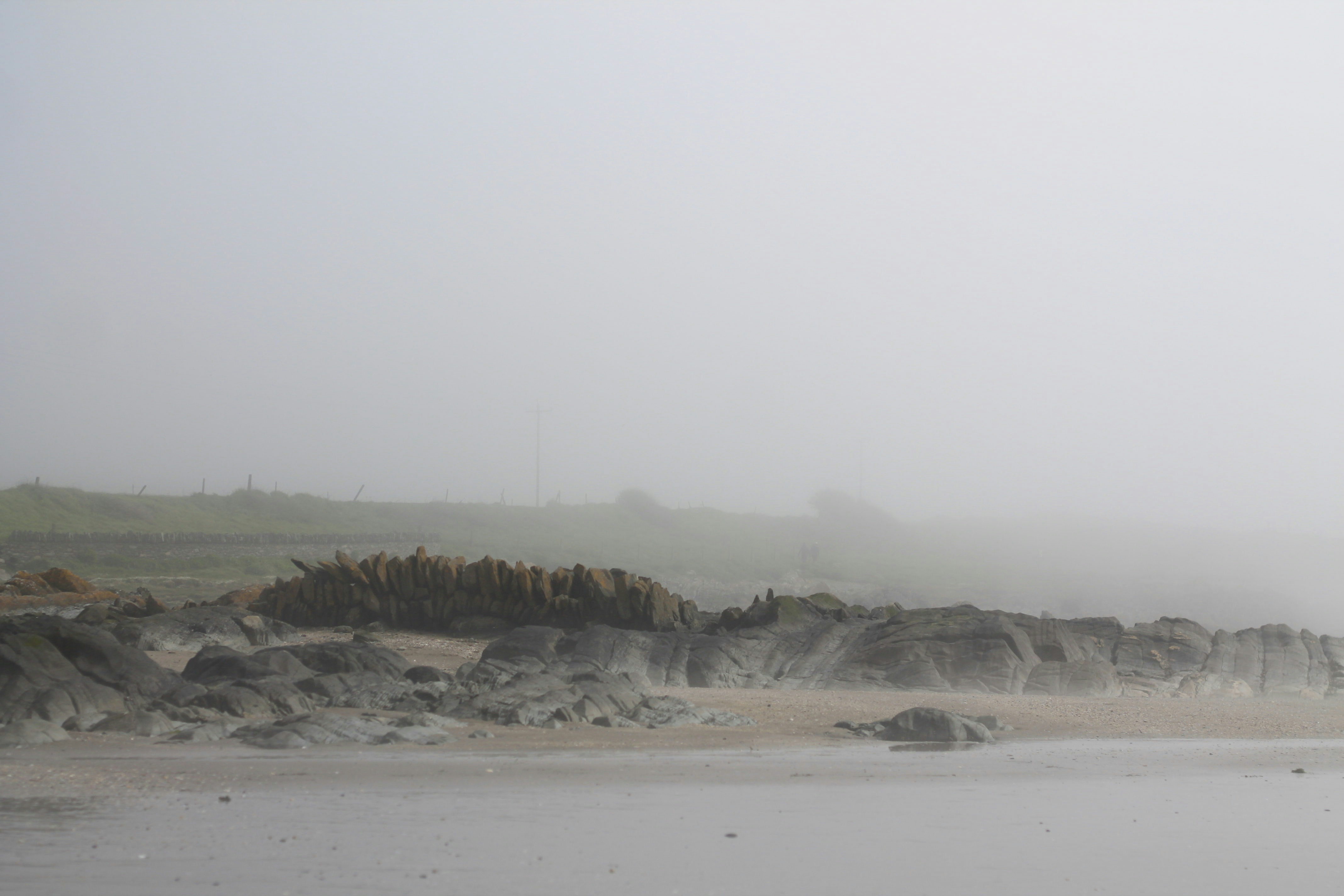 a foggy beach with rocks and grass