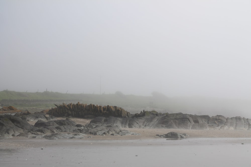 a foggy beach with rocks and grass