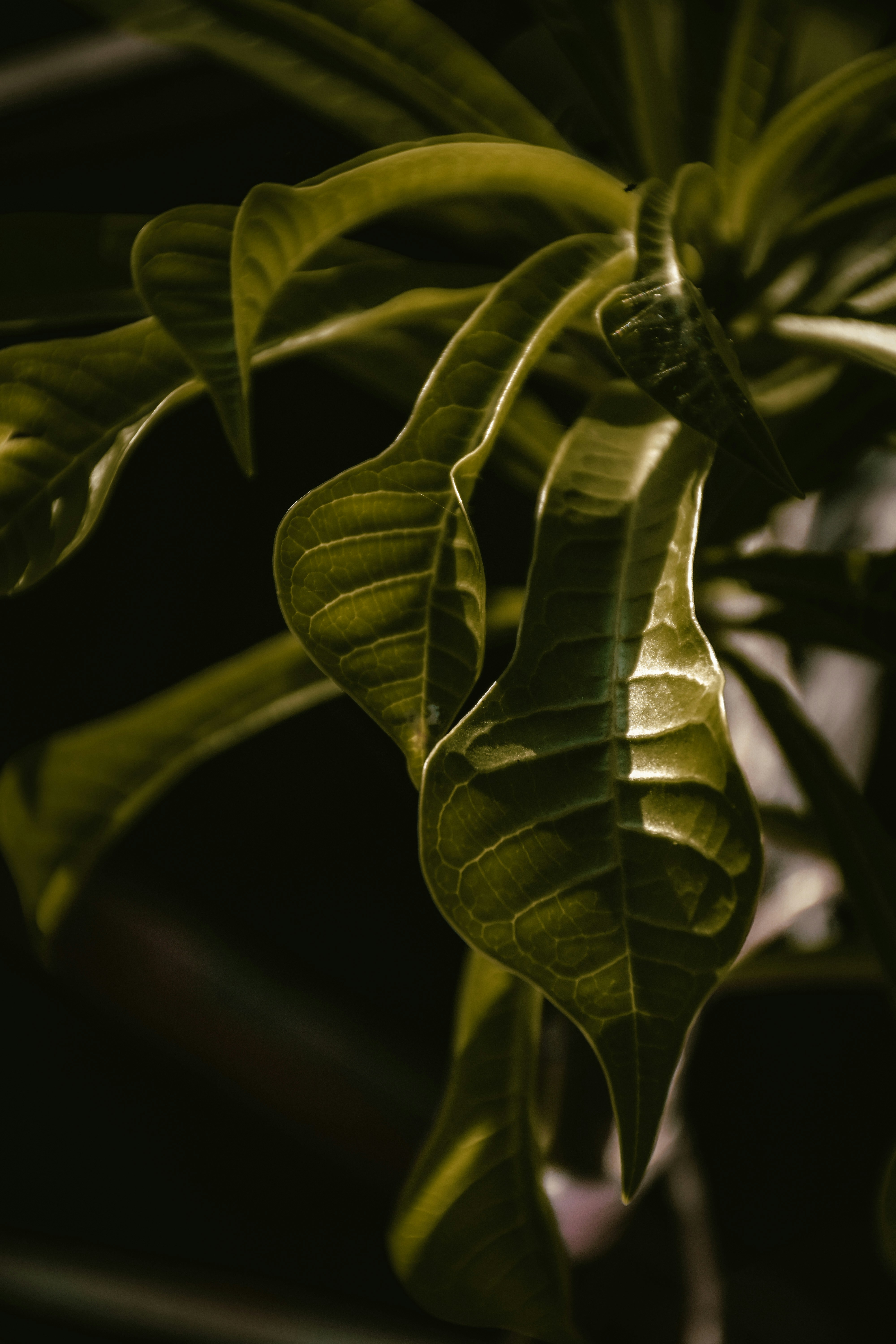 Photo by ankita_clicks