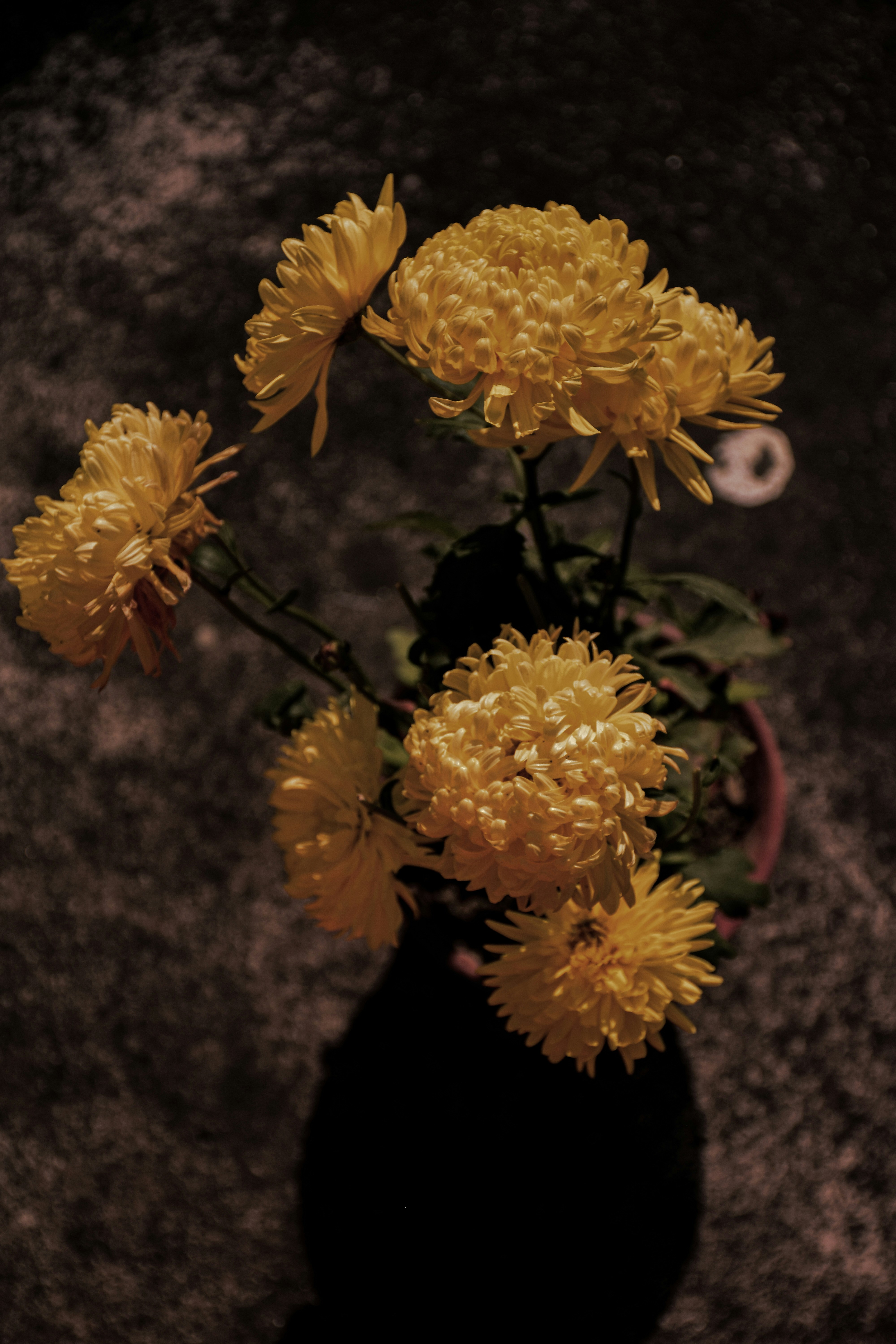 Photo by ankita_clicks