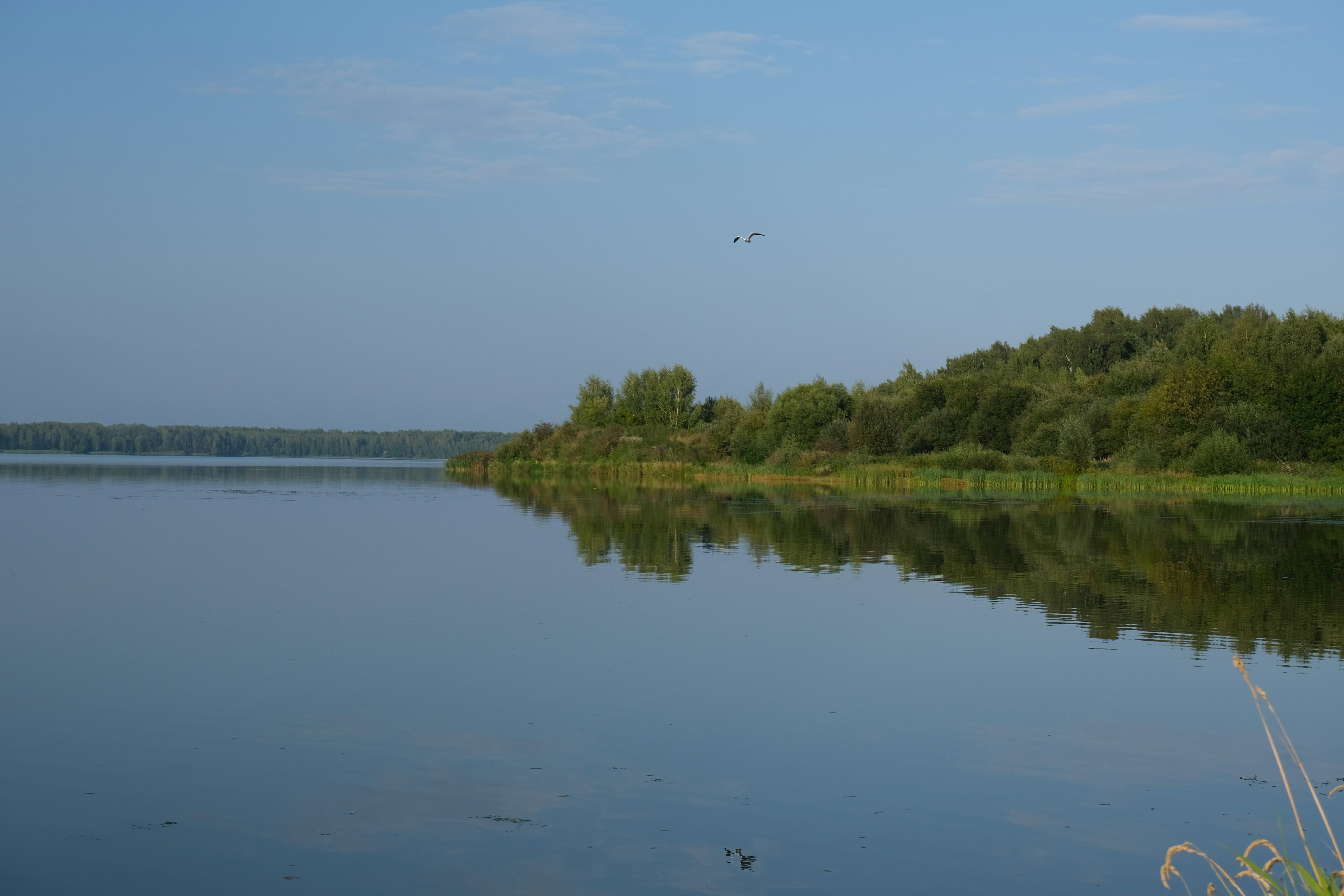 Photo by anastasia_vorfolomeeva