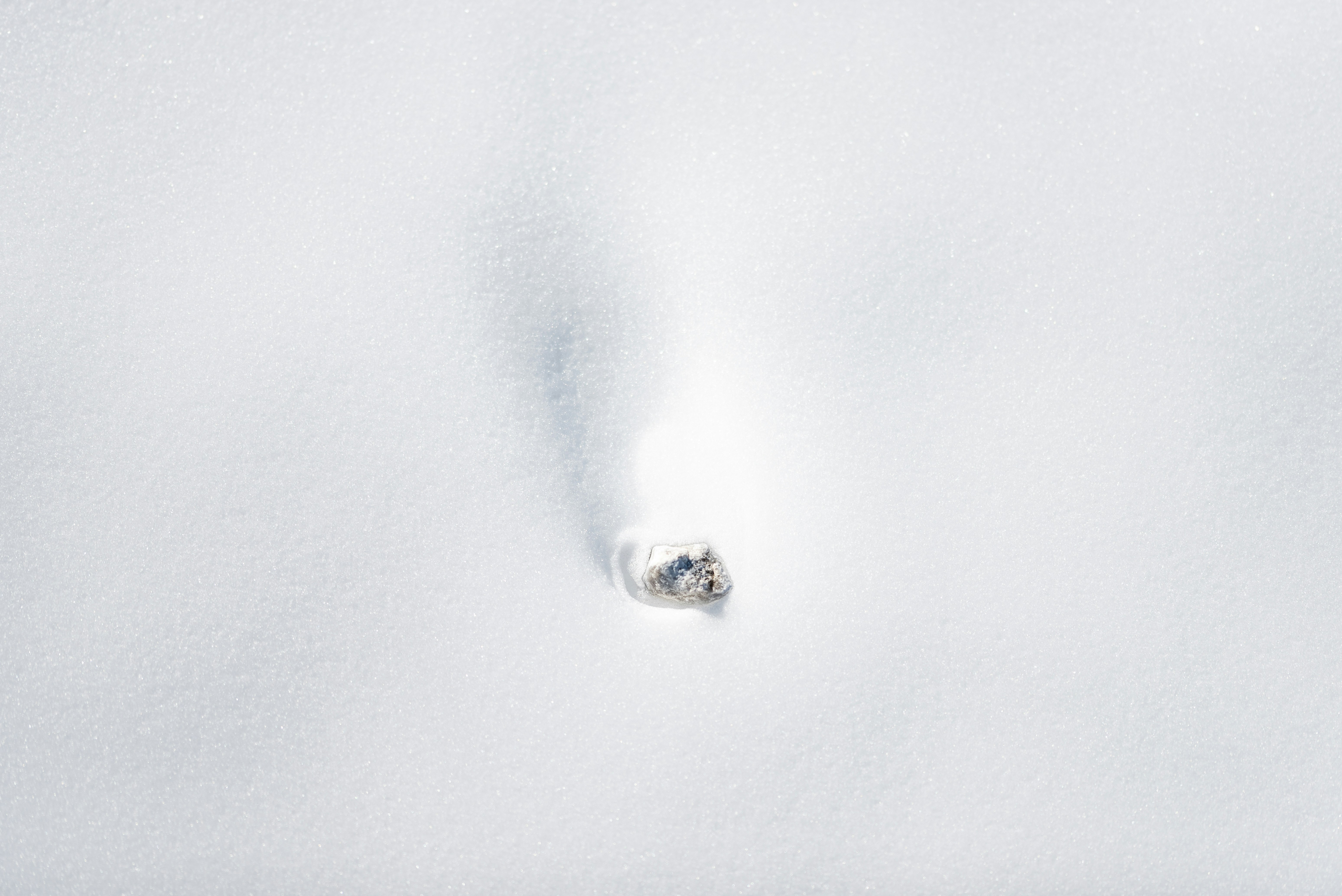 Photo by lauraadaiphoto