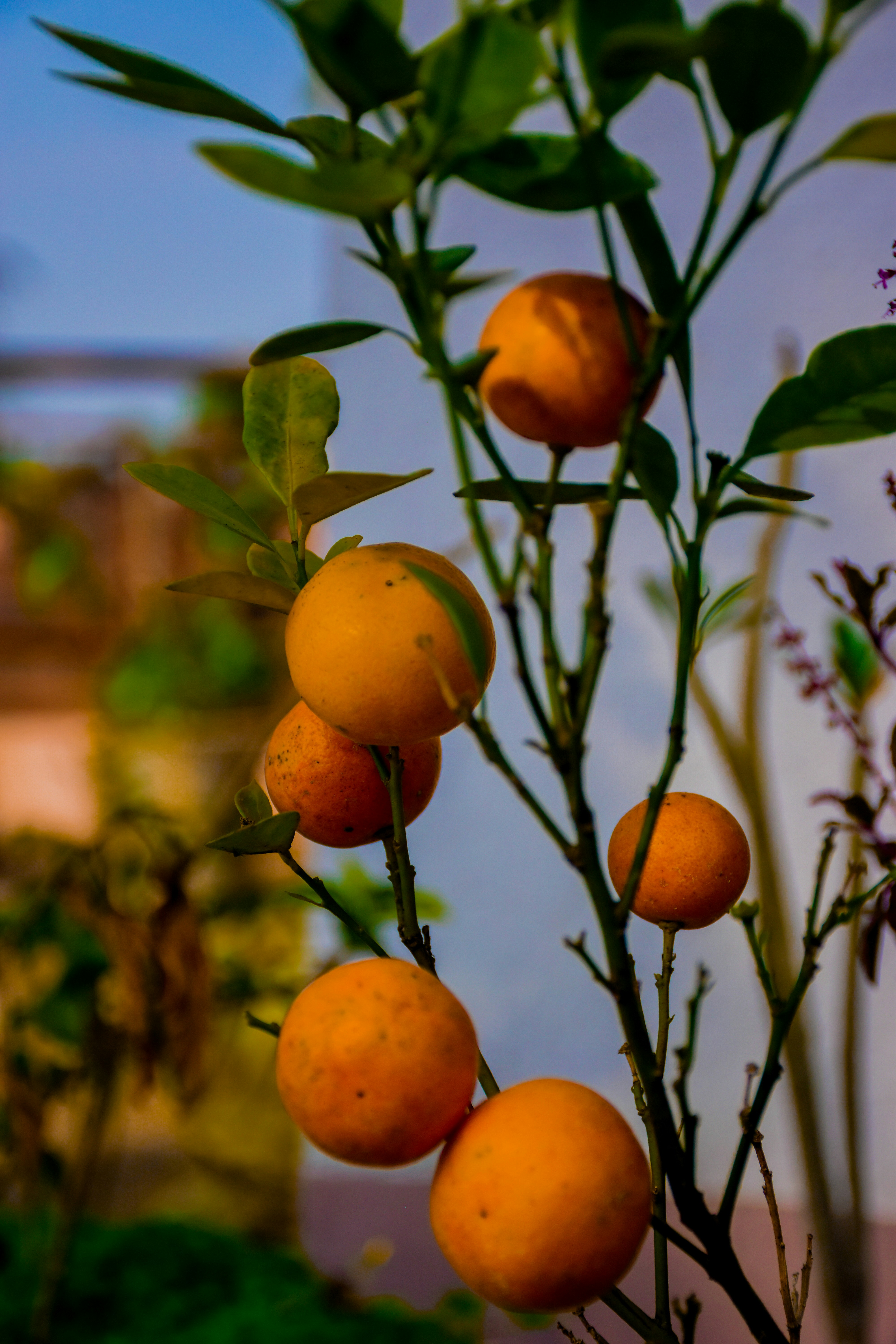 Photo by ankita_clicks