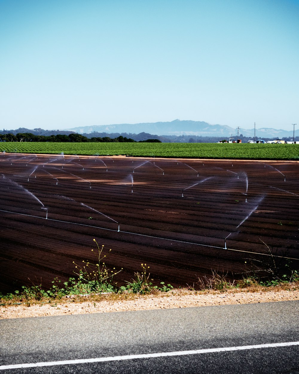 a field with a sprinkle of water on it