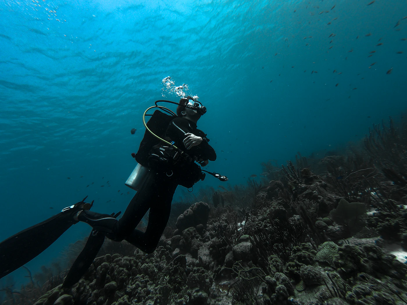 Buceador con botella nadando sobre un arrecife de coral en aguas azules