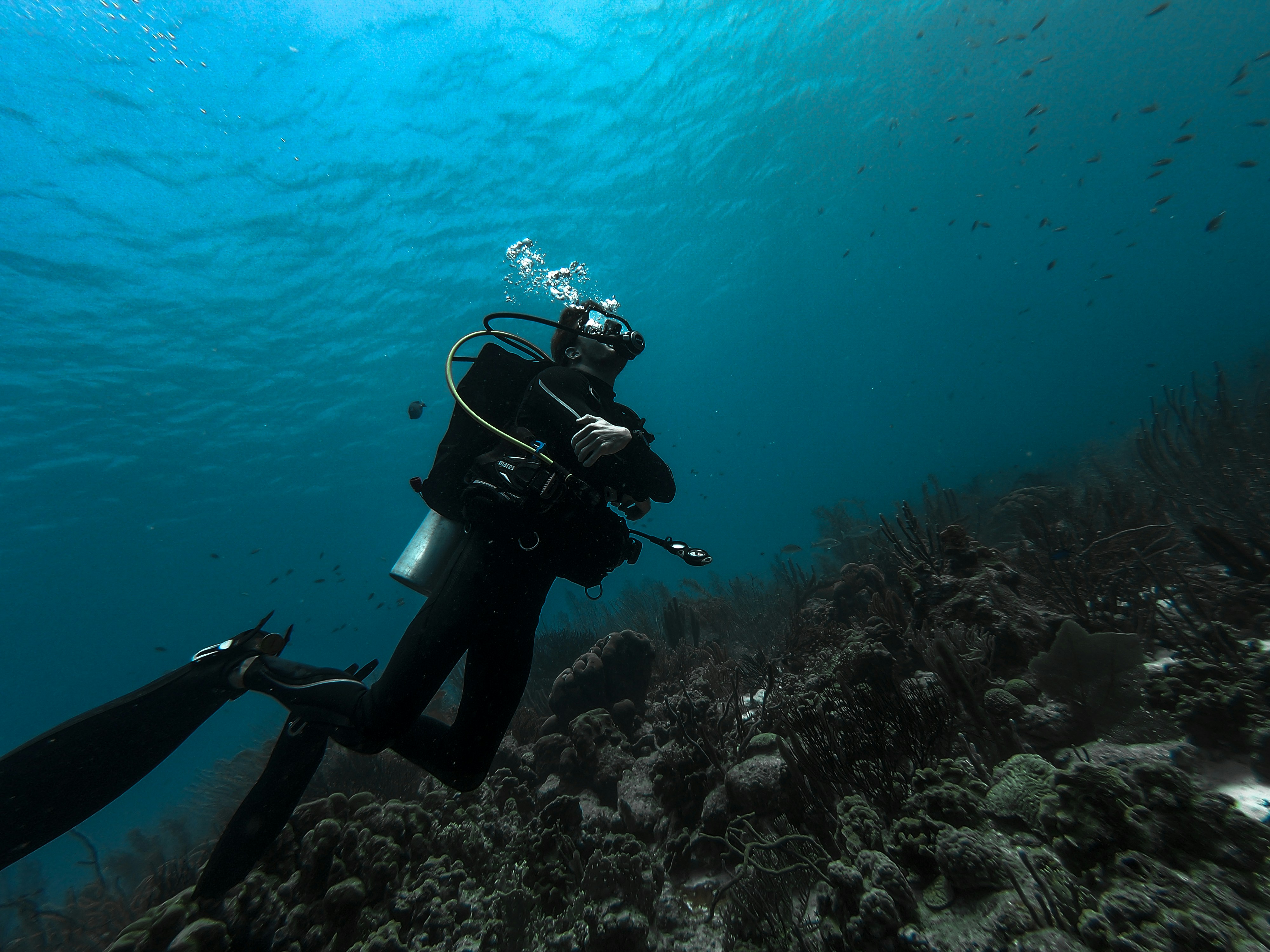 Shaky Footage, Fuzzy Thinking: How Narcosis Quietly Ruins Your Underwater Video at Depth