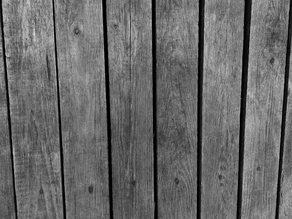 a black and white photo of a wooden fence