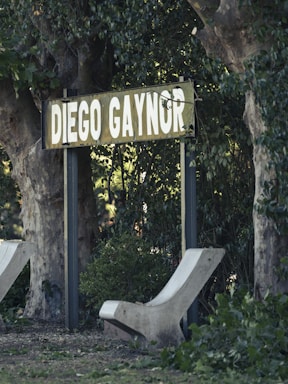 A sign with white letters spelling 'DIEGO GAYNOR' stands amidst lush green foliage and large trees. Two curved concrete benches are positioned nearby, covered with some scattered leaves on the ground.