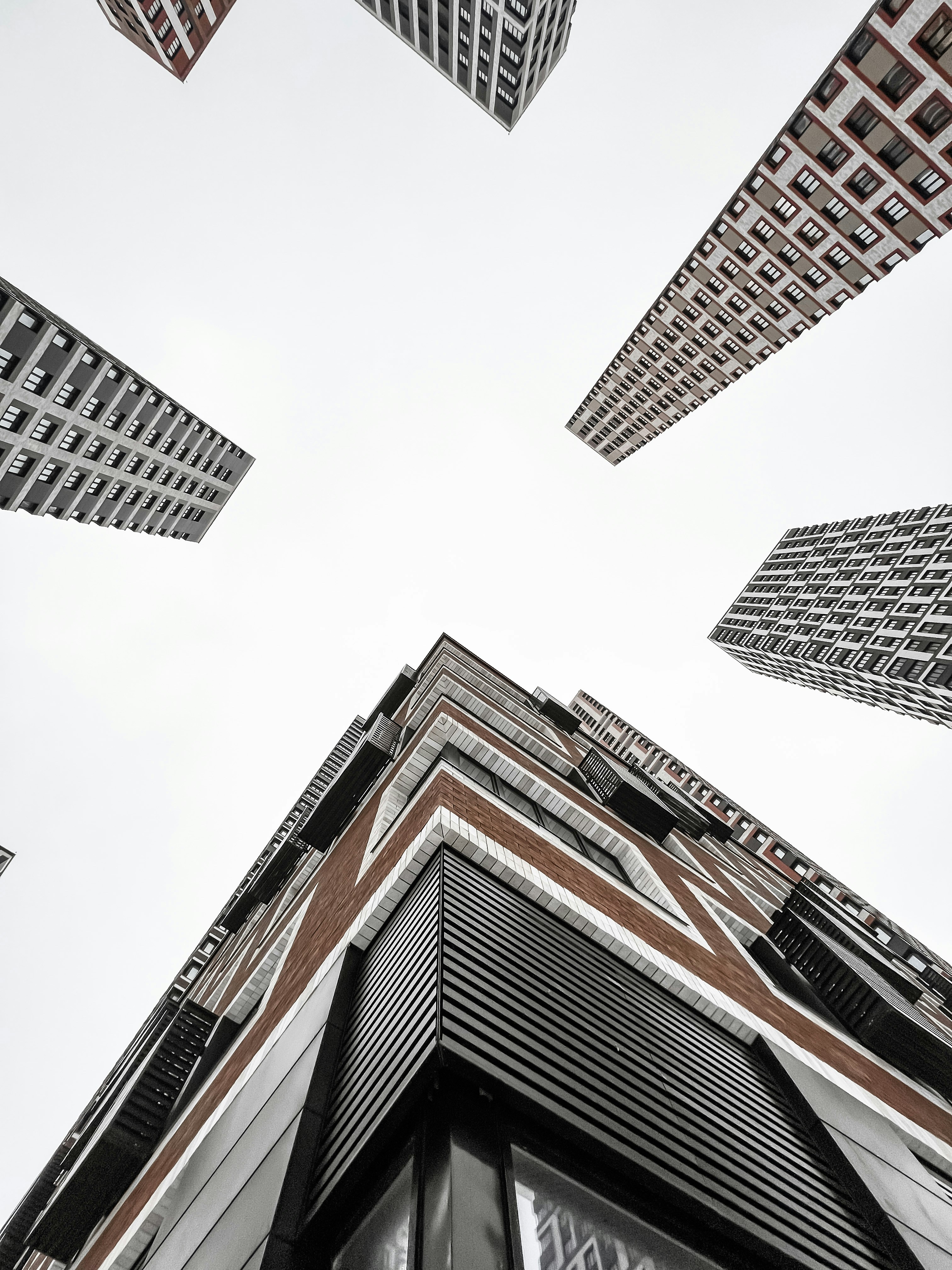 Photo by sweetspring