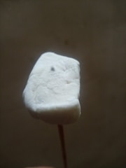 A close-up of a marshmallow on a wooden stick against a plain background. The marshmallow is white and appears soft and fluffy, with a small black speck on its surface.