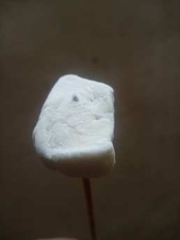 A close-up of a marshmallow on a wooden stick against a plain background. The marshmallow is white and appears soft and fluffy, with a small black speck on its surface.