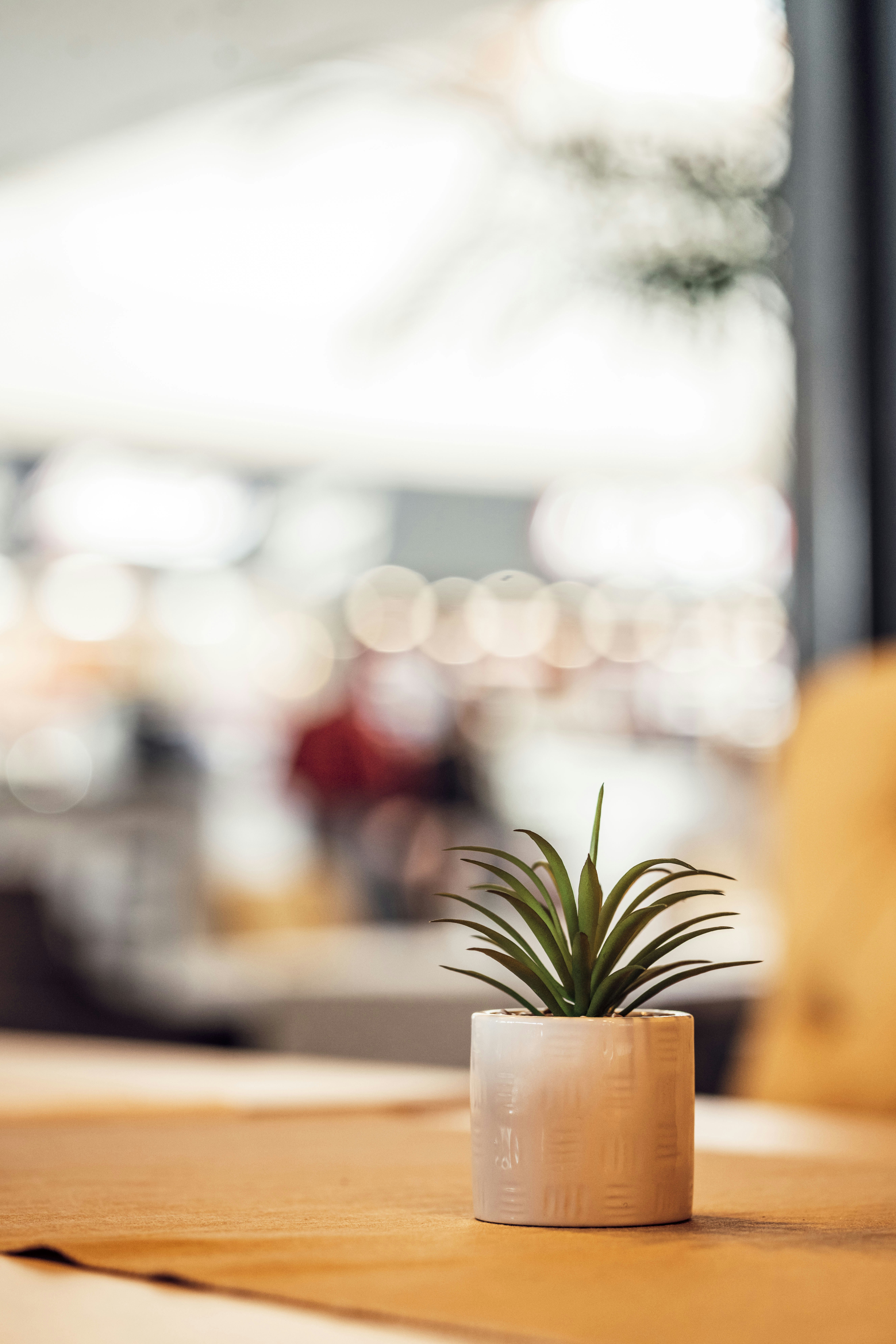 Photo by photosbyfrk