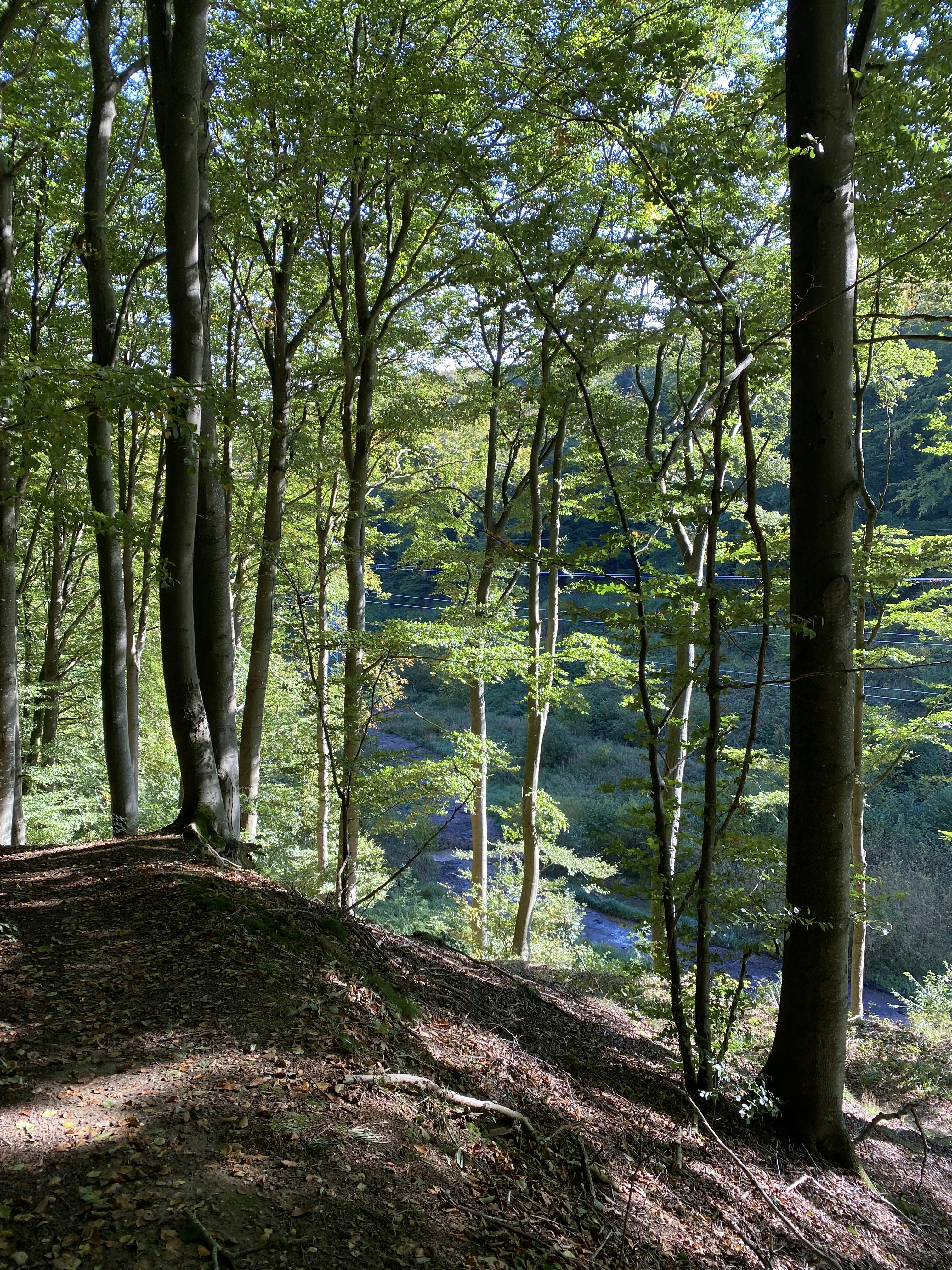 Photo by evikajaunpujena