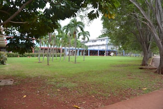 a grassy area with trees and a building in the background