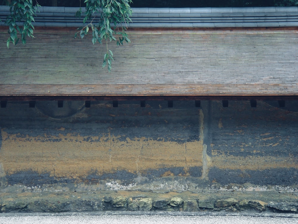 a bird sitting on the ledge of a building