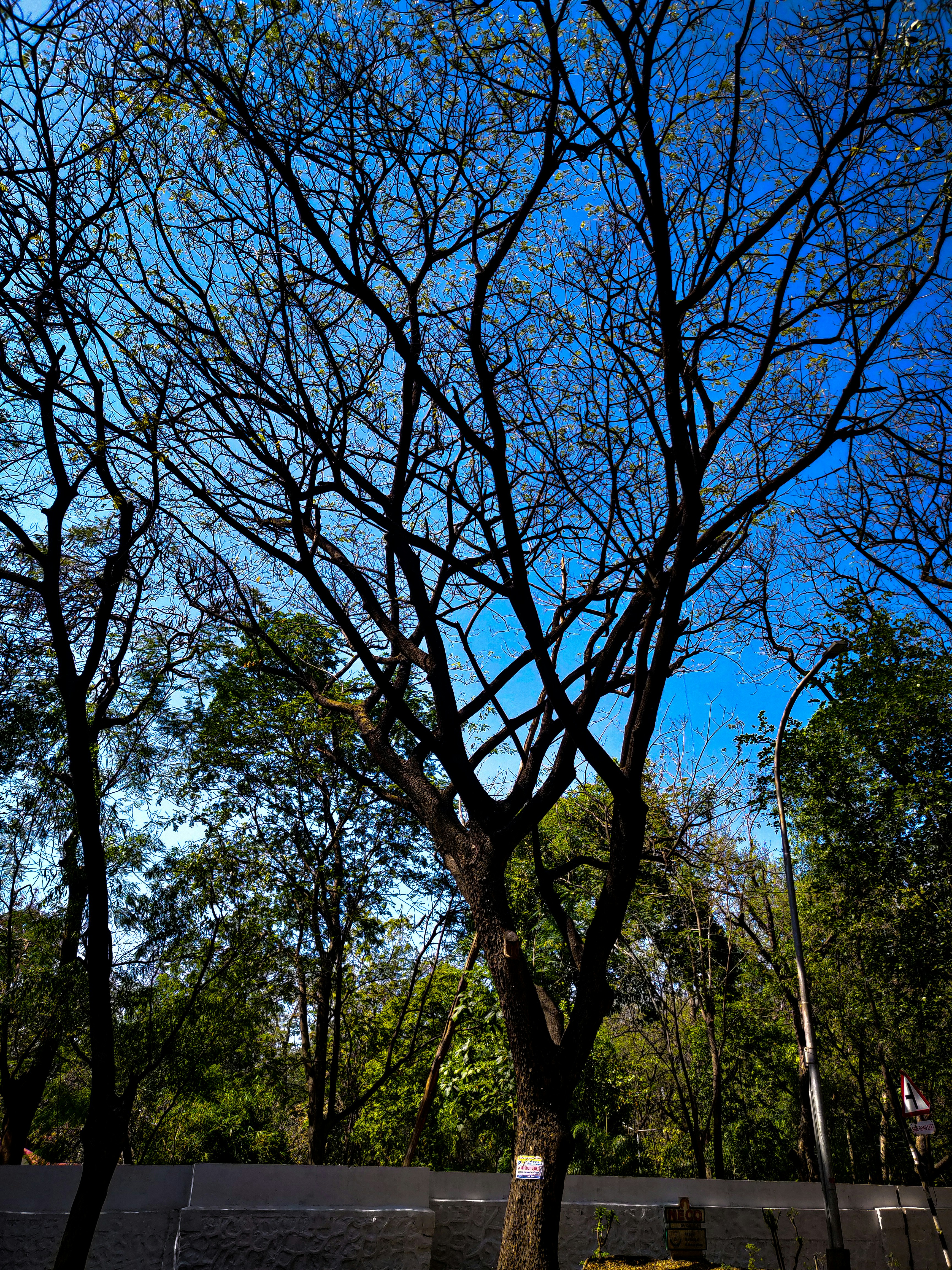 Photo by iamnagarjun