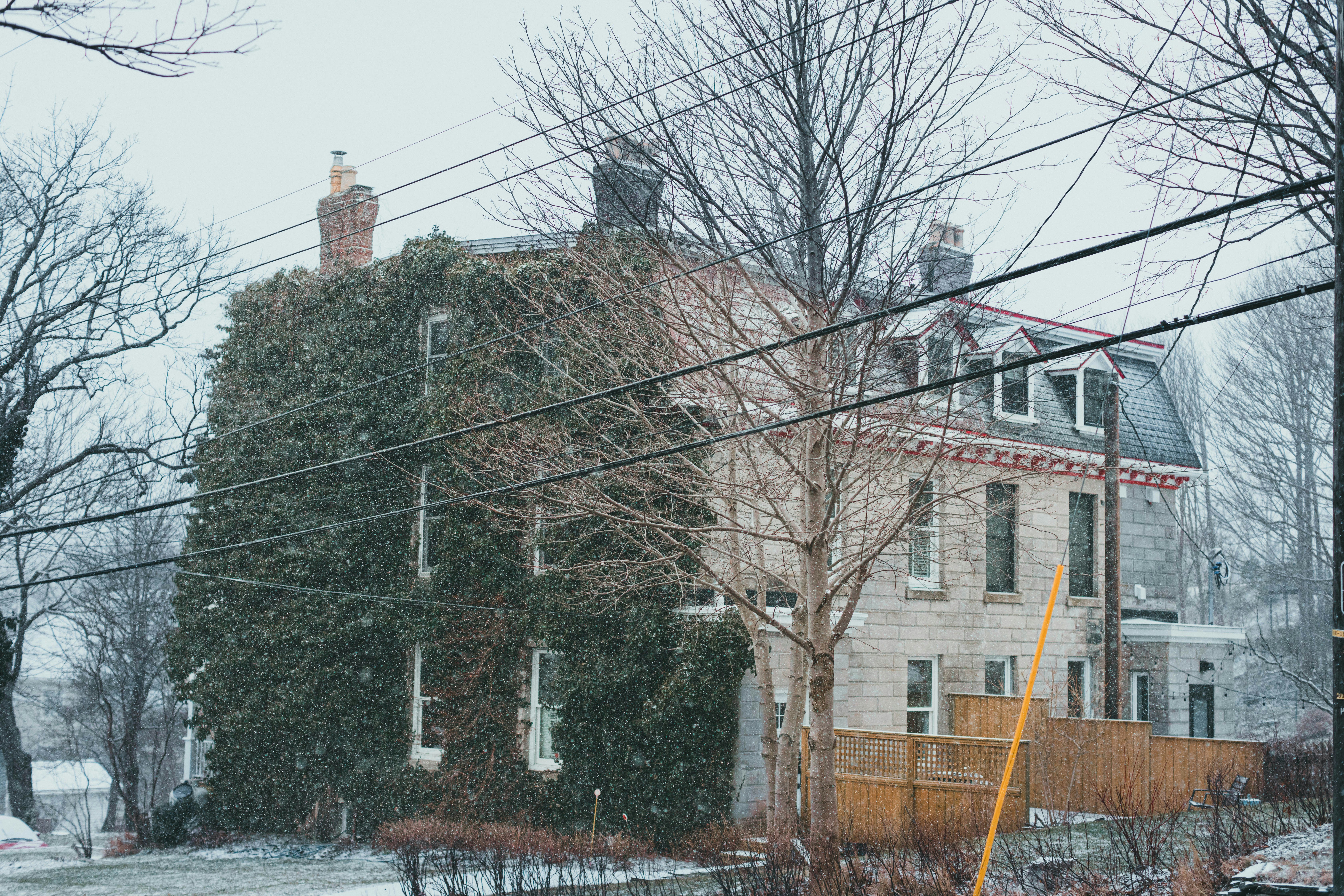 Photo by theshuttervision