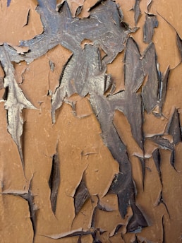 A close-up view of a surface with peeling and cracked paint. The underlying material appears to be metallic, with a mix of rough textures and sharp edges where the paint has lifted. The color palette includes shades of brown with areas of darker, metallic tones.