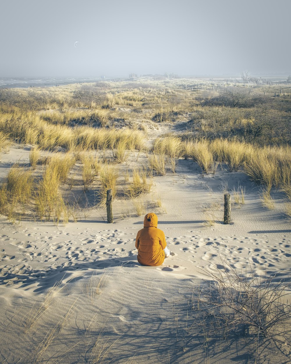 a teddy bear sitting in the middle of a desert