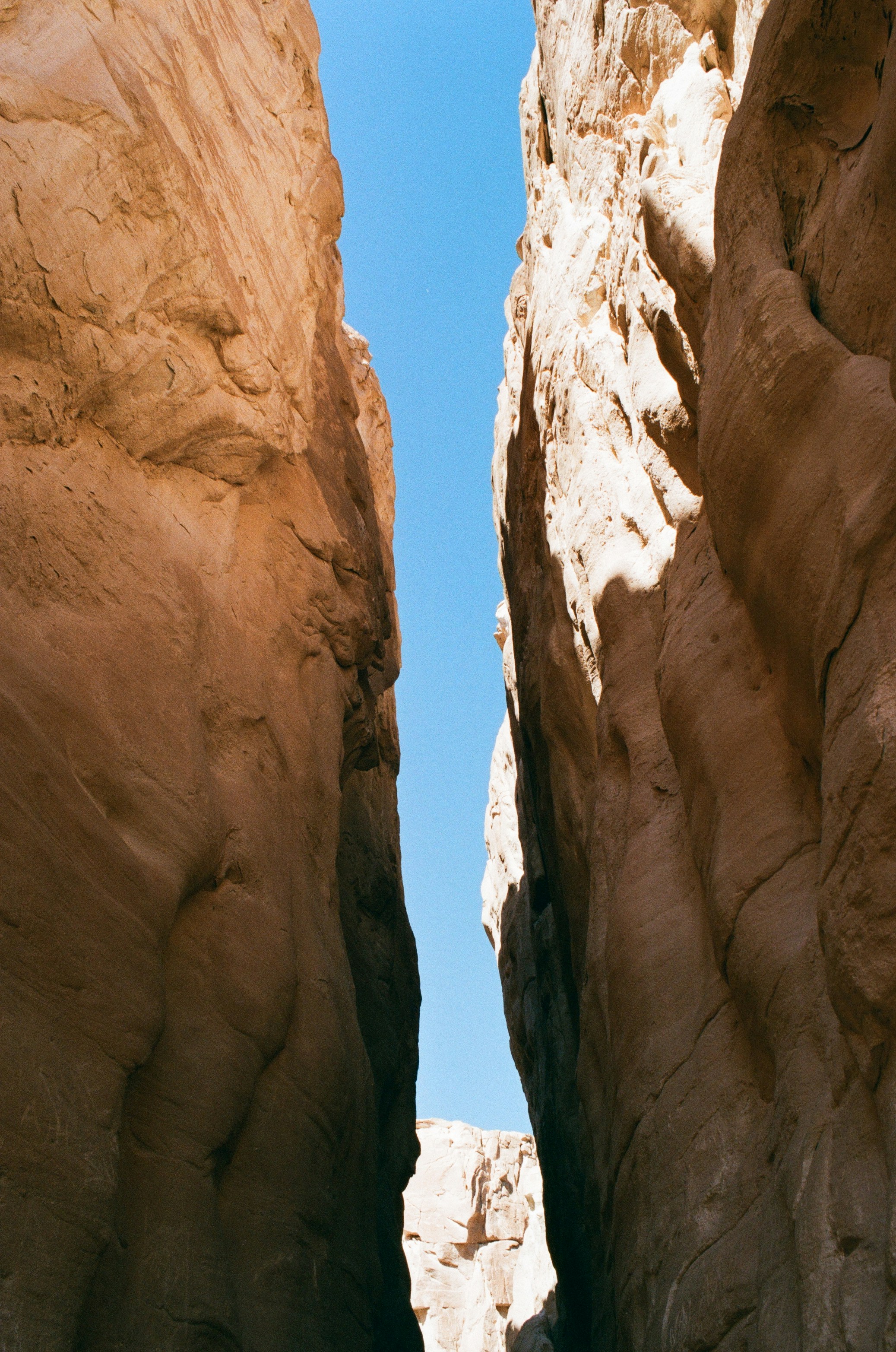 Photo by vinsen_cekrani