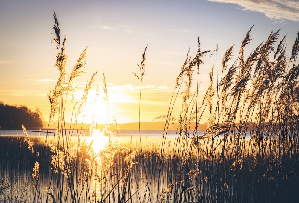 a sunset over a body of water