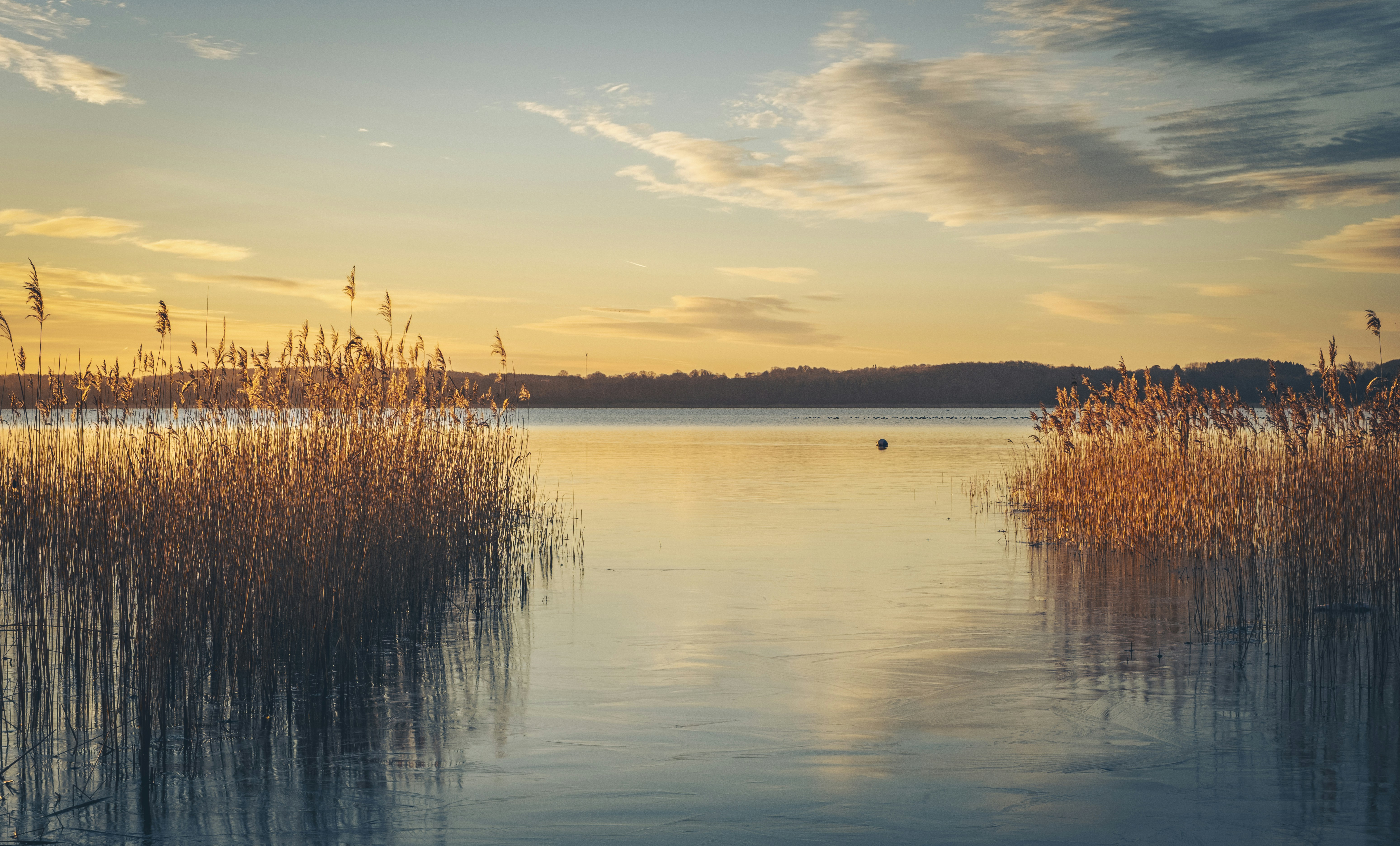 Photo by michaelheld