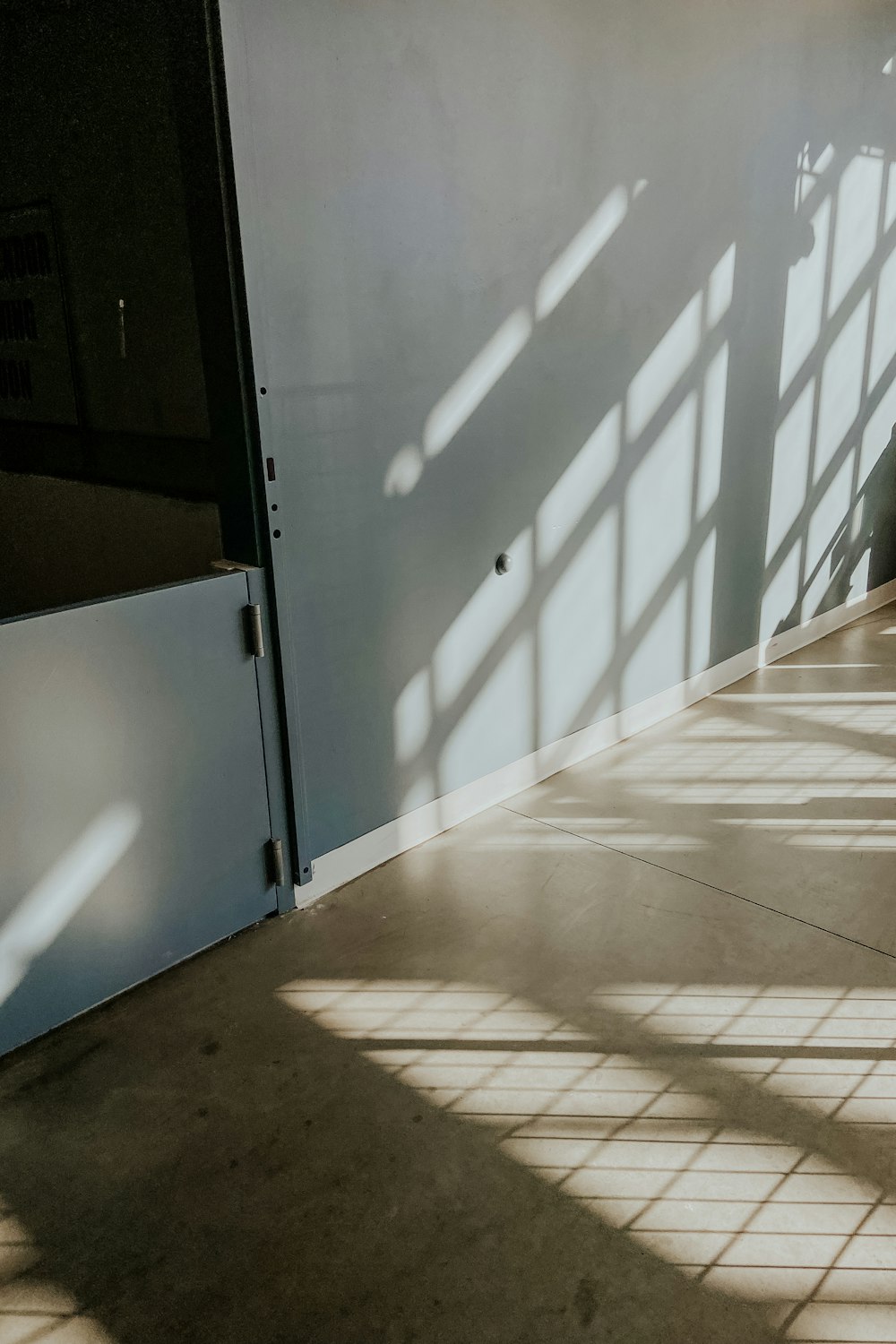 a cat sitting on the floor in a room with sunlight coming through the windows