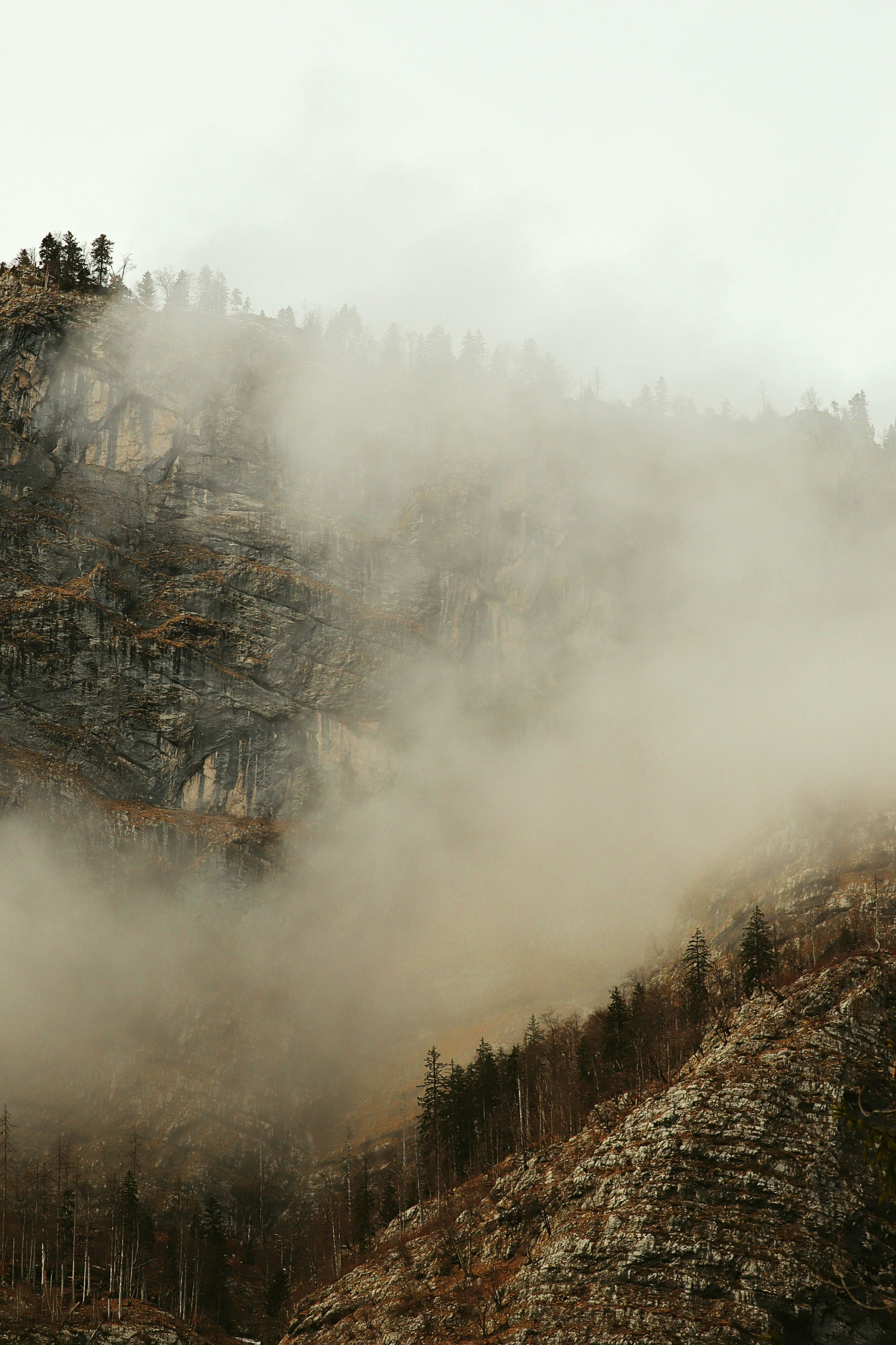 Bohinj – Final Summary