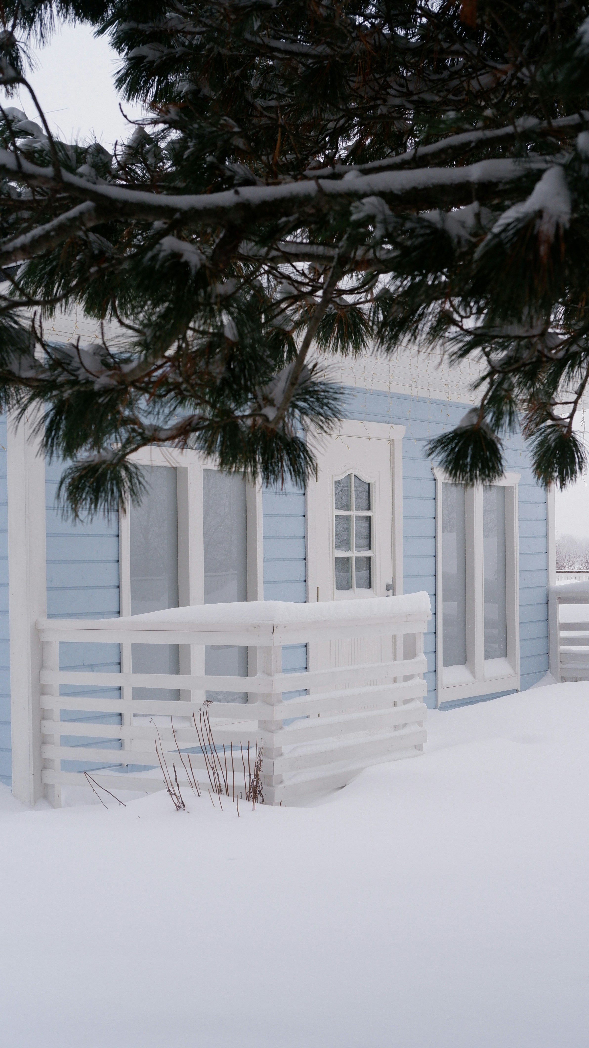 Photo by mary_borysova