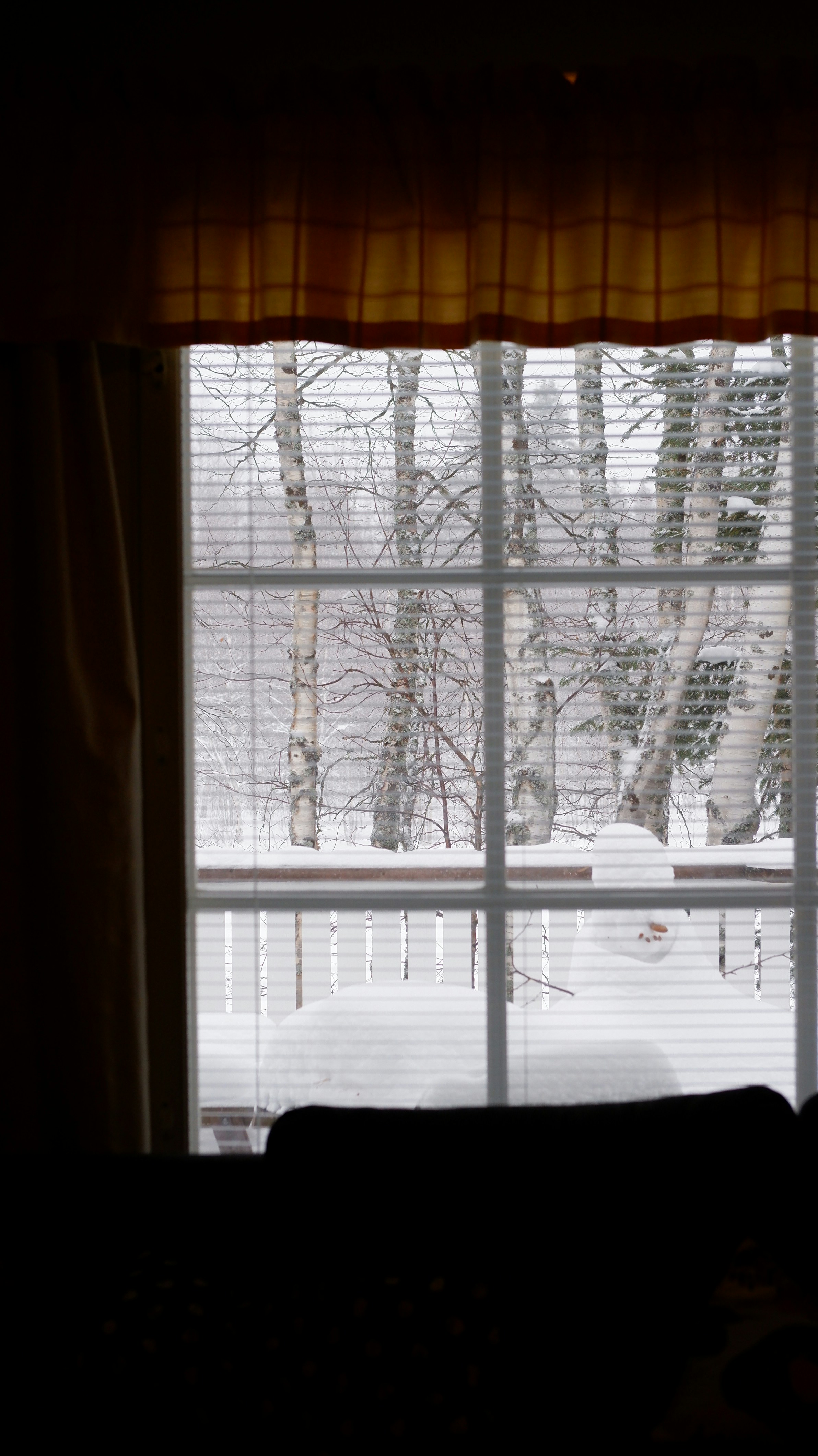 Photo by mary_borysova