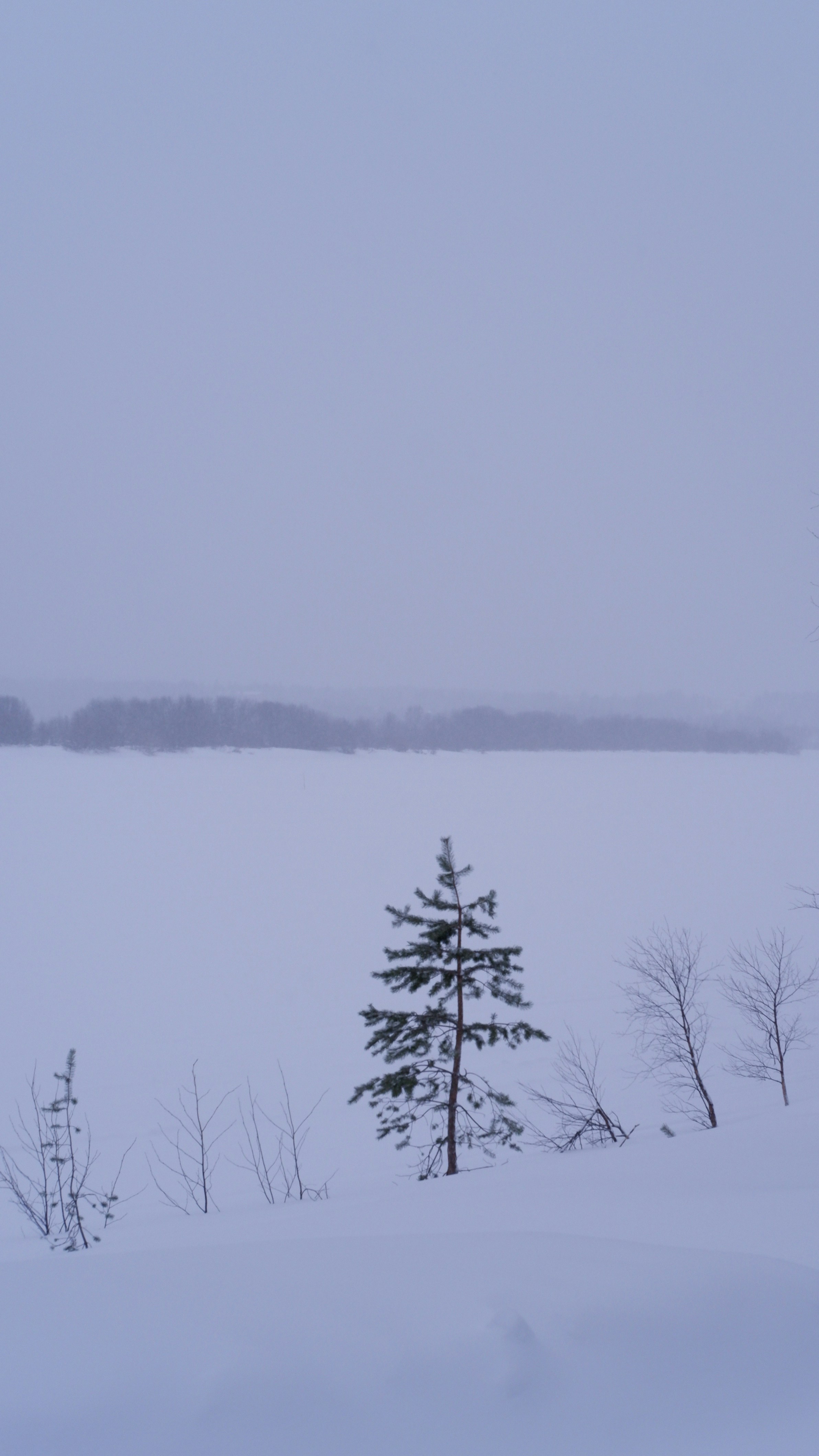 Photo by mary_borysova