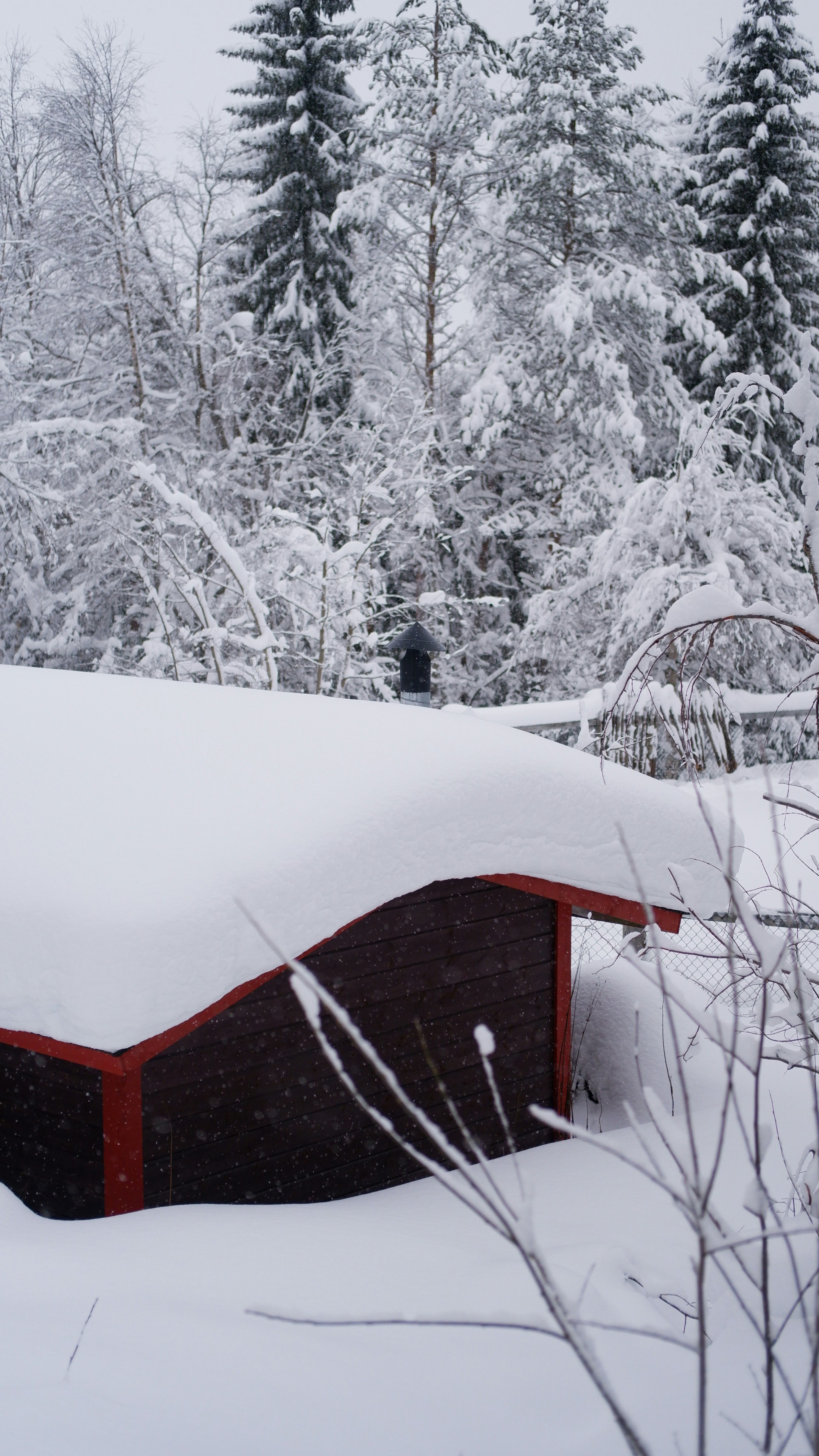 Photo by mary_borysova