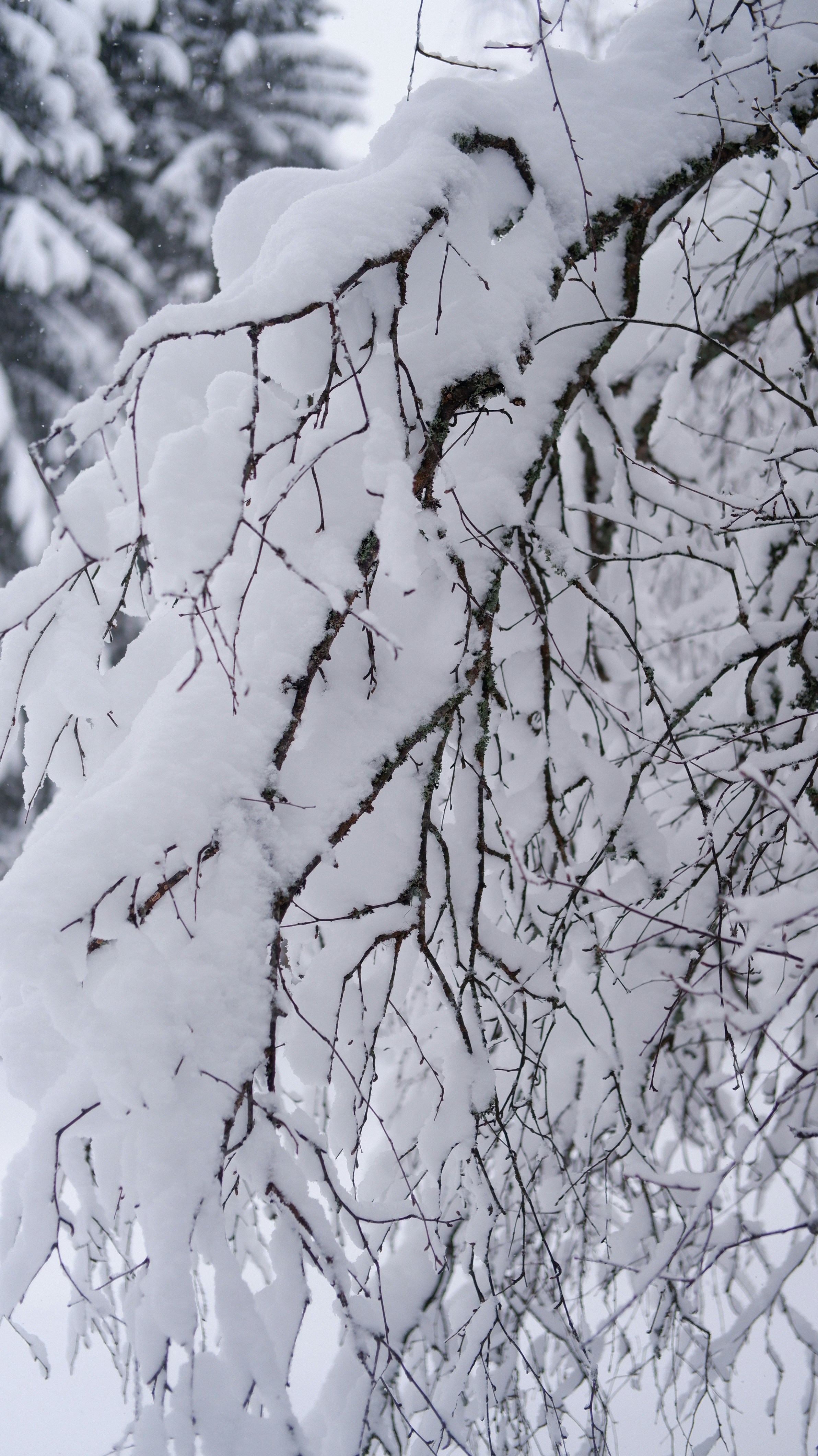 Photo by mary_borysova