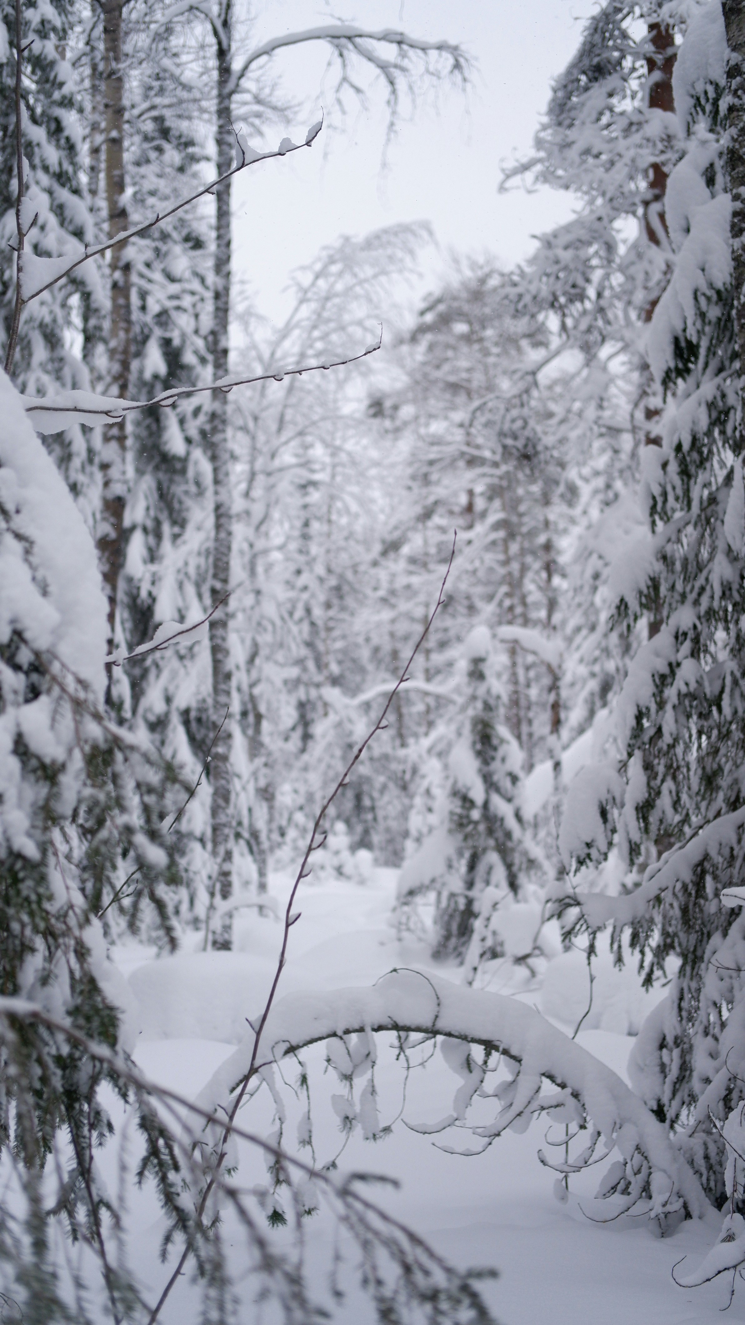 Photo by mary_borysova