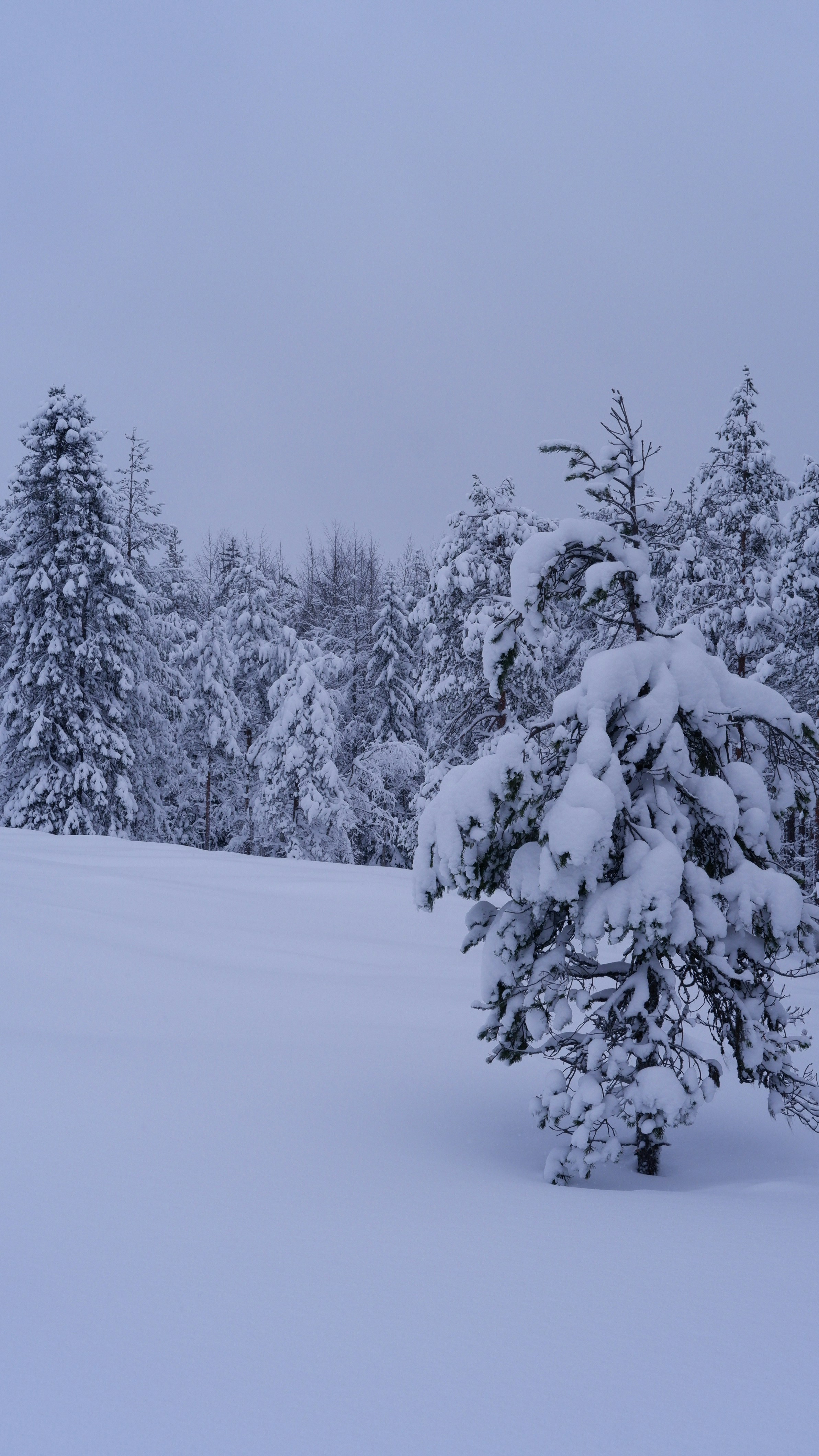 Photo by mary_borysova