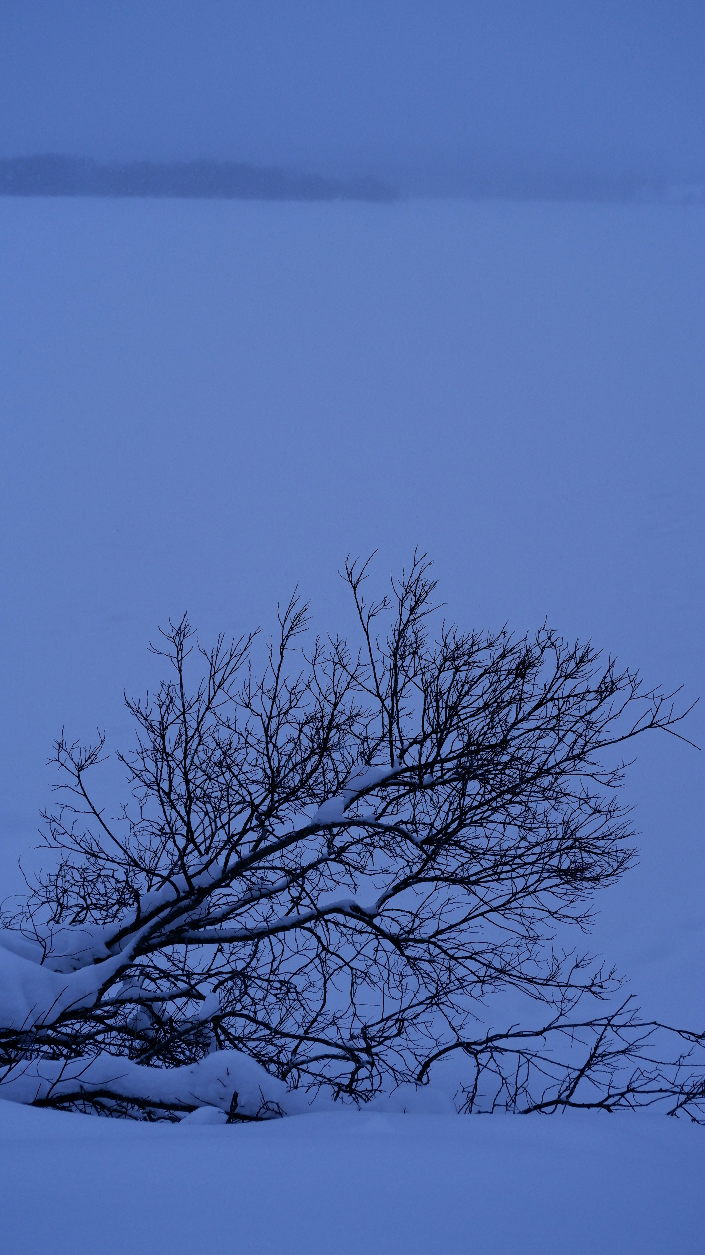 Photo by mary_borysova