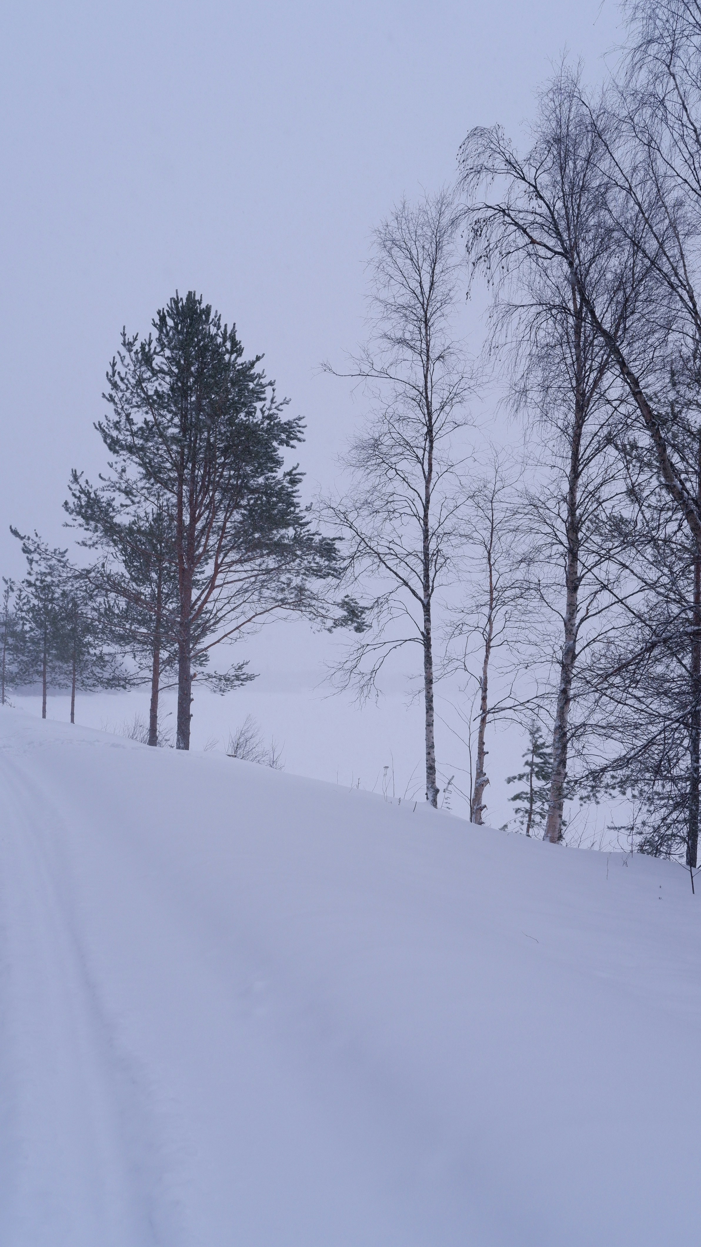 Photo by mary_borysova