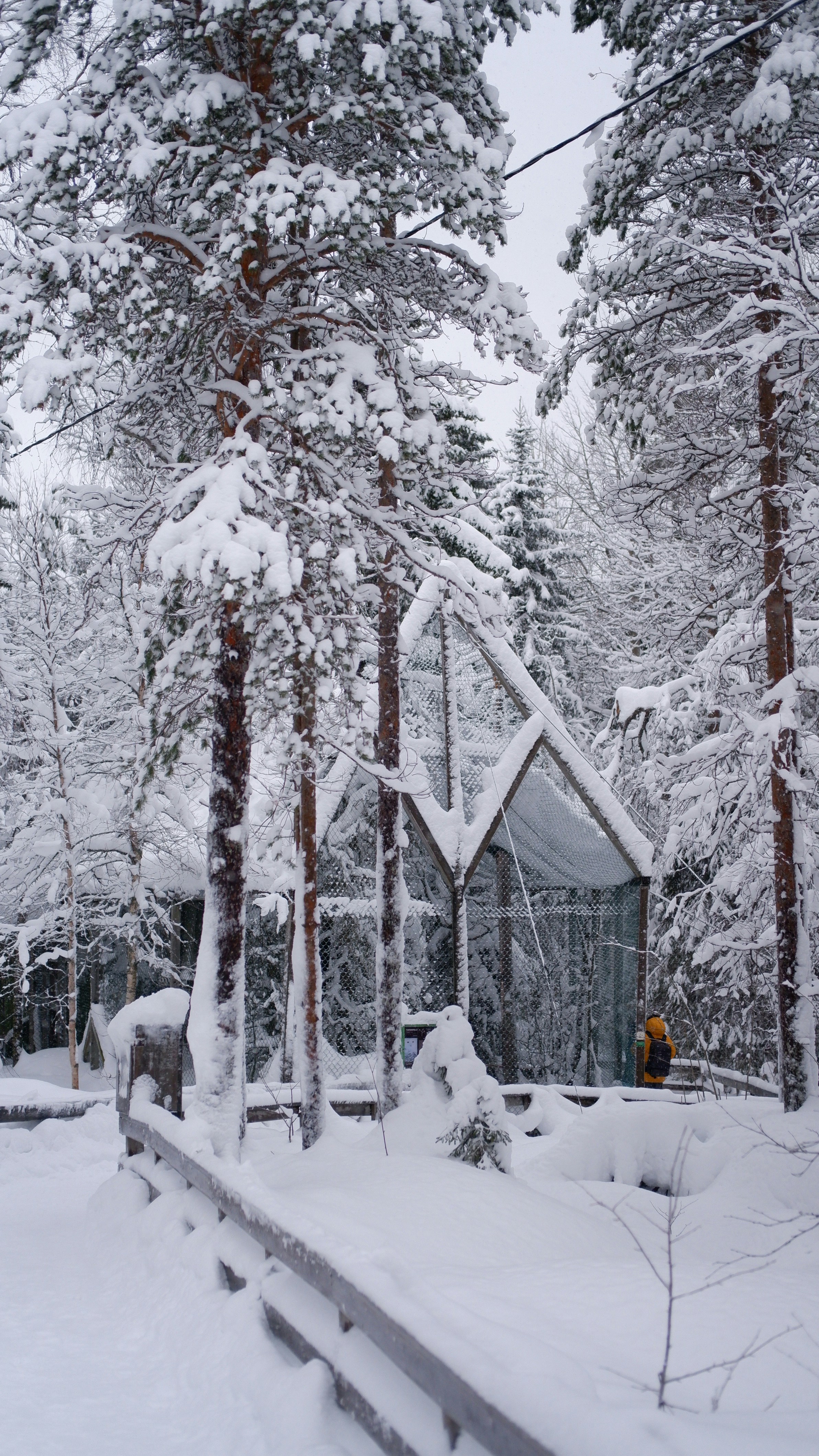 Photo by mary_borysova